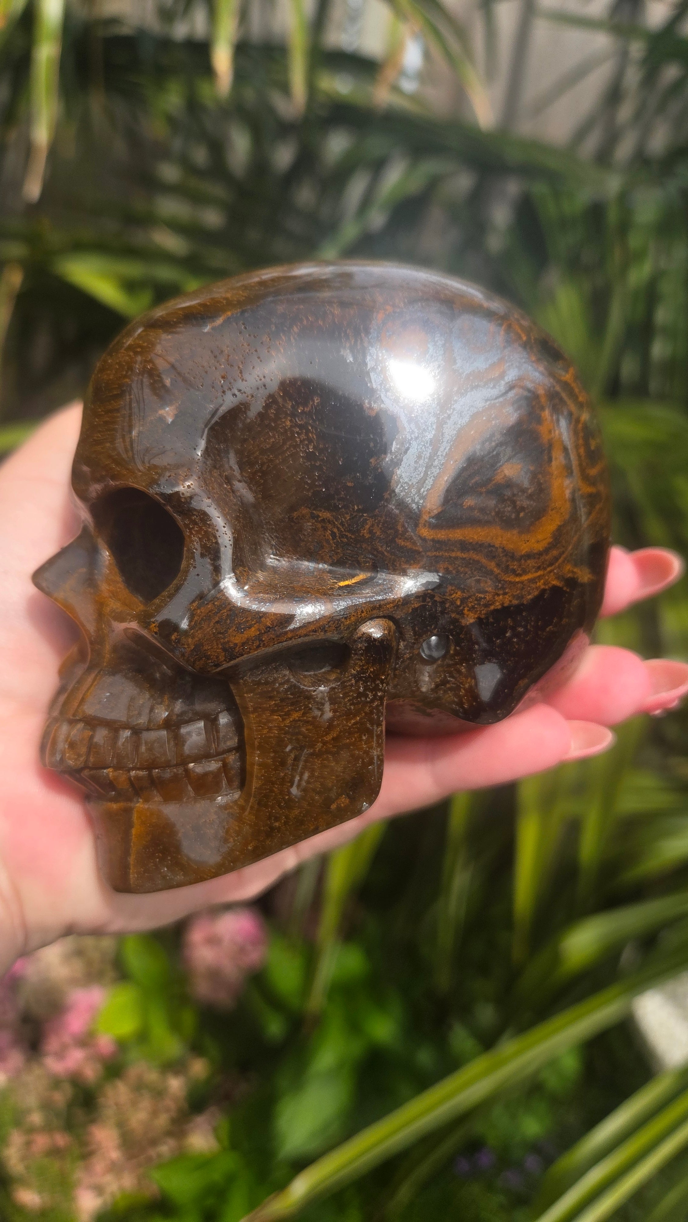 A++ kwaliteit tijgeroog skull
