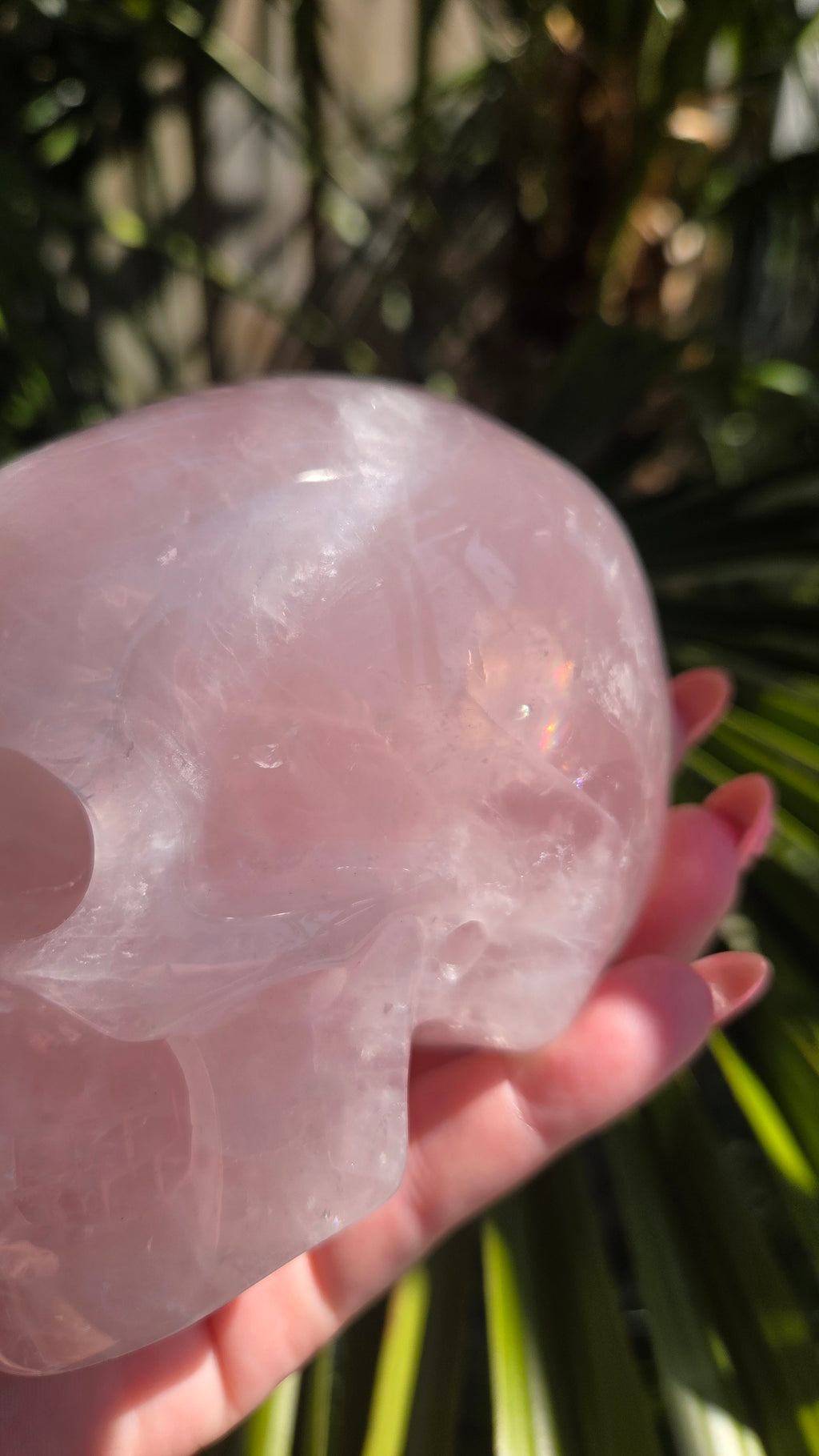 A+ kwaliteit rozenkwarts skull