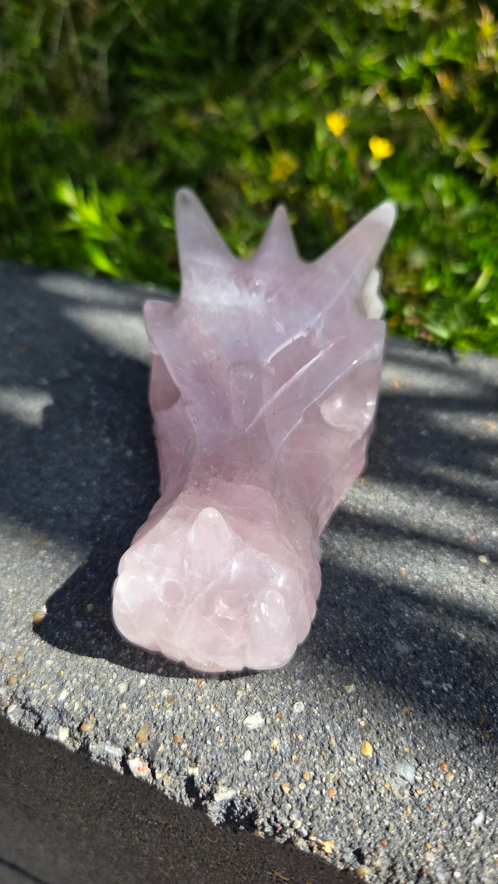 AA rozenkwarts draak