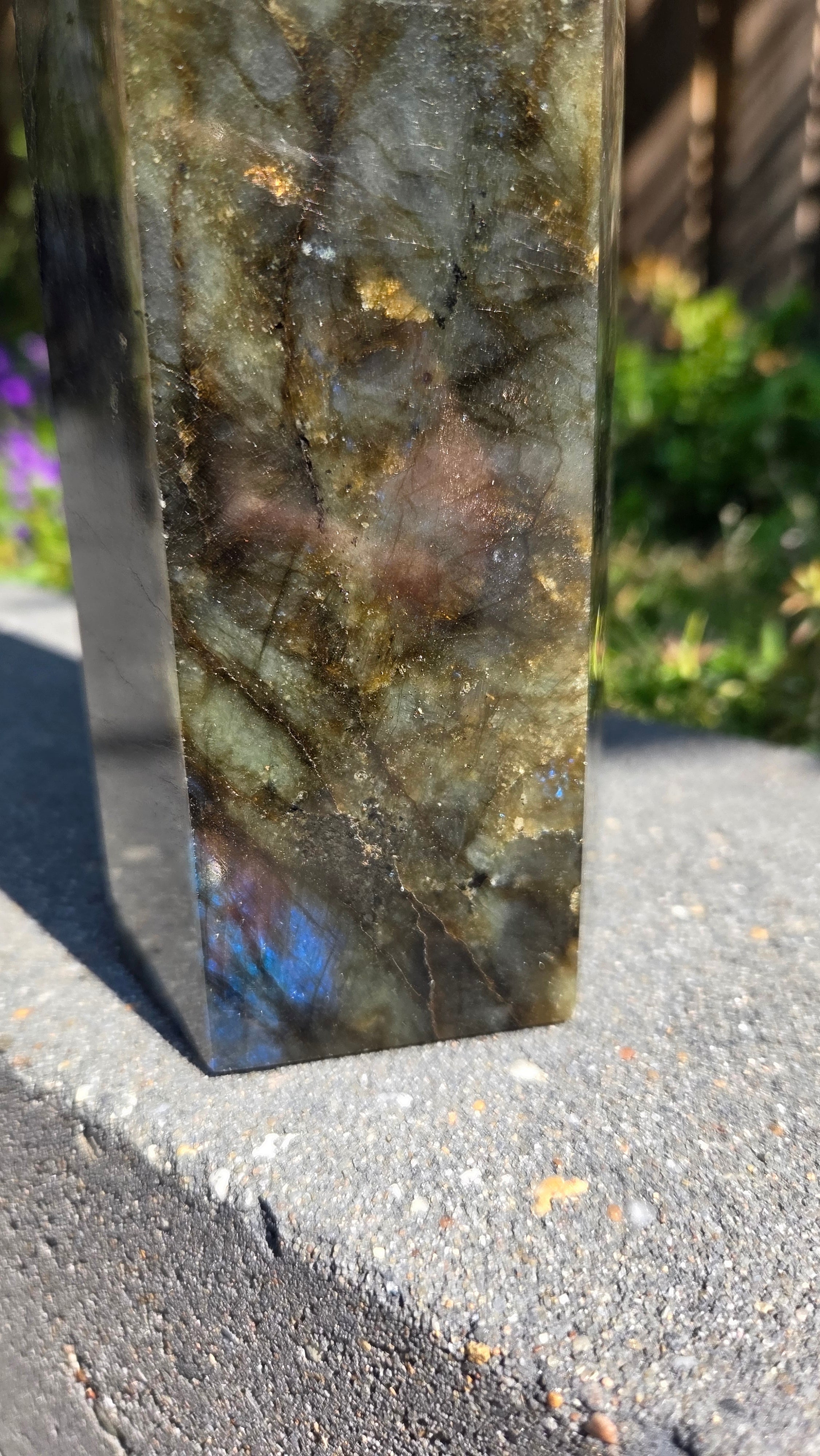 XL labradoriet toren