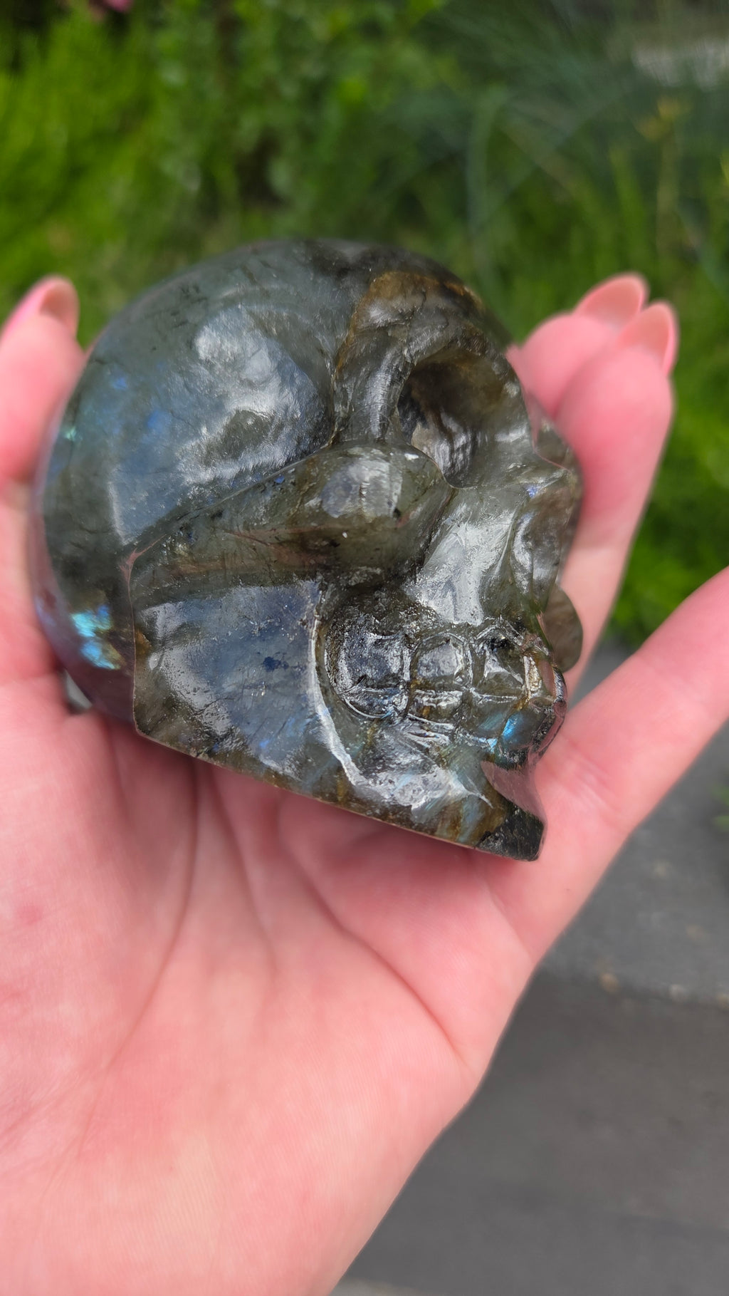 Labradoriet skull