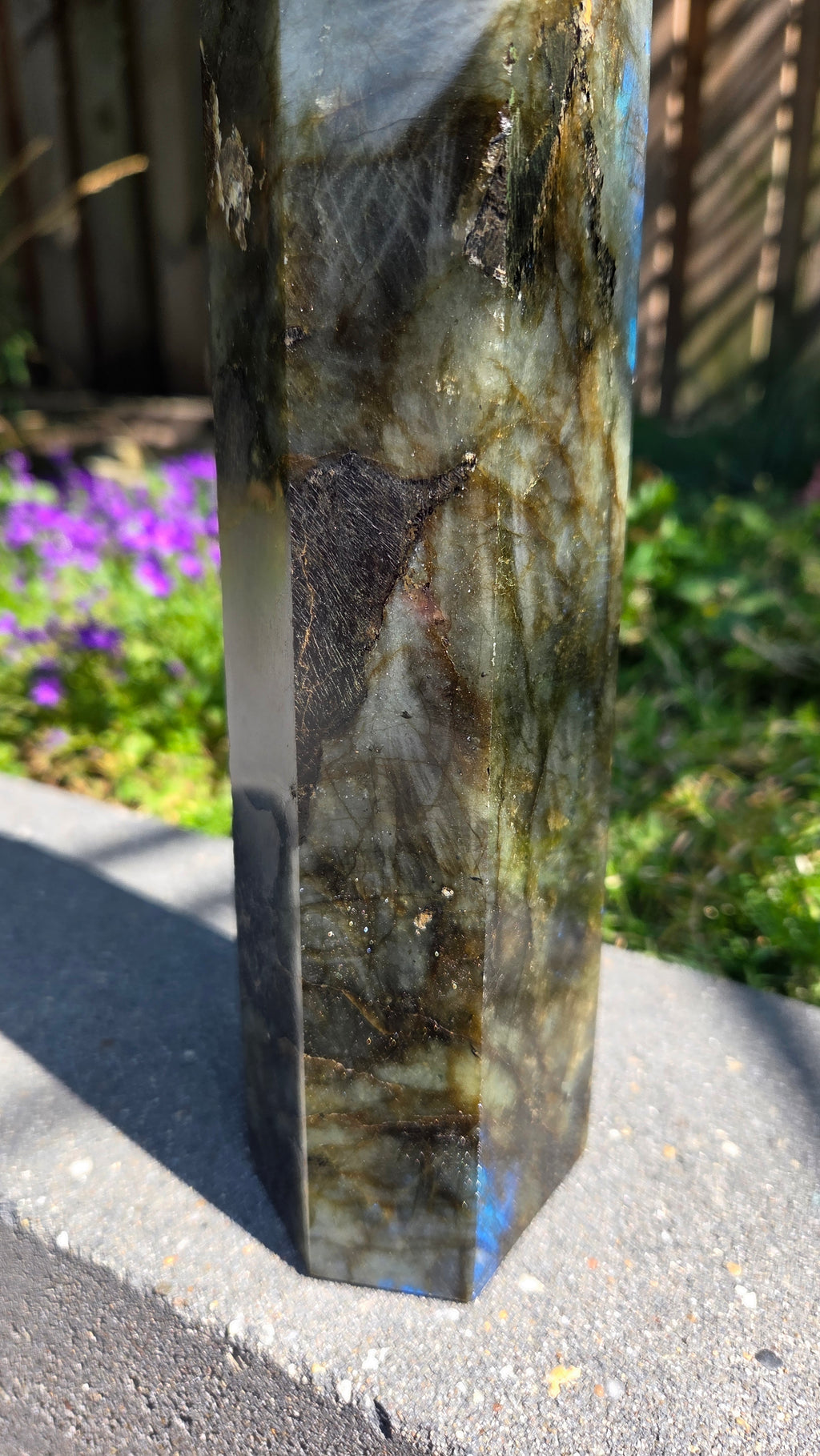 XL labradoriet toren