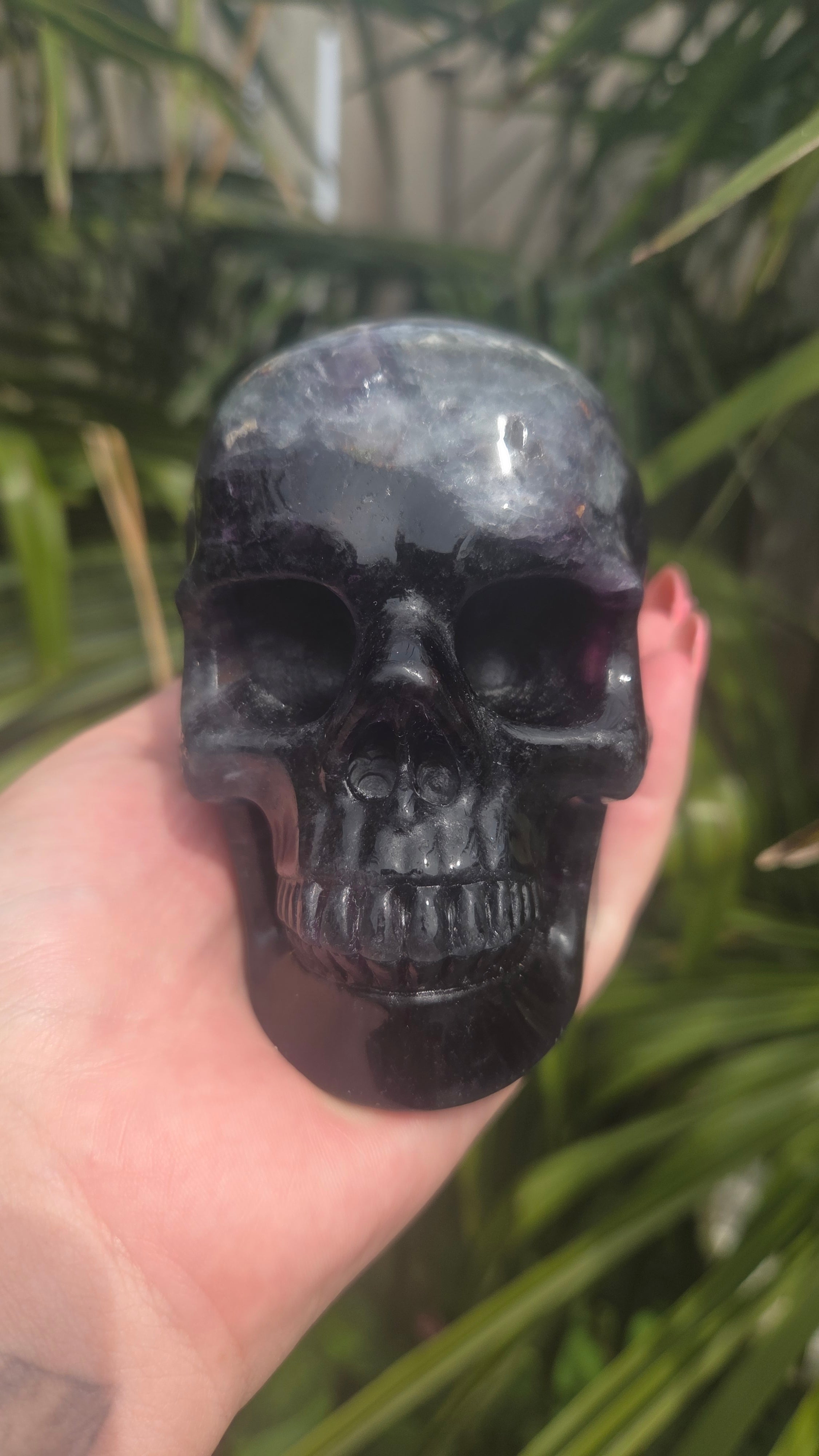 A+ kwaliteit fluoriet skull
