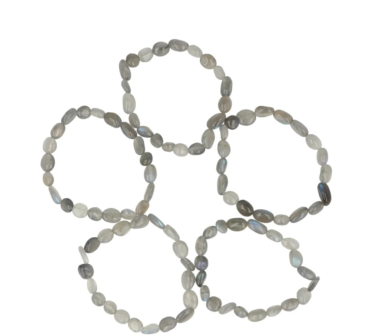 Labradoriet trommelsteen armband 8-10 mm