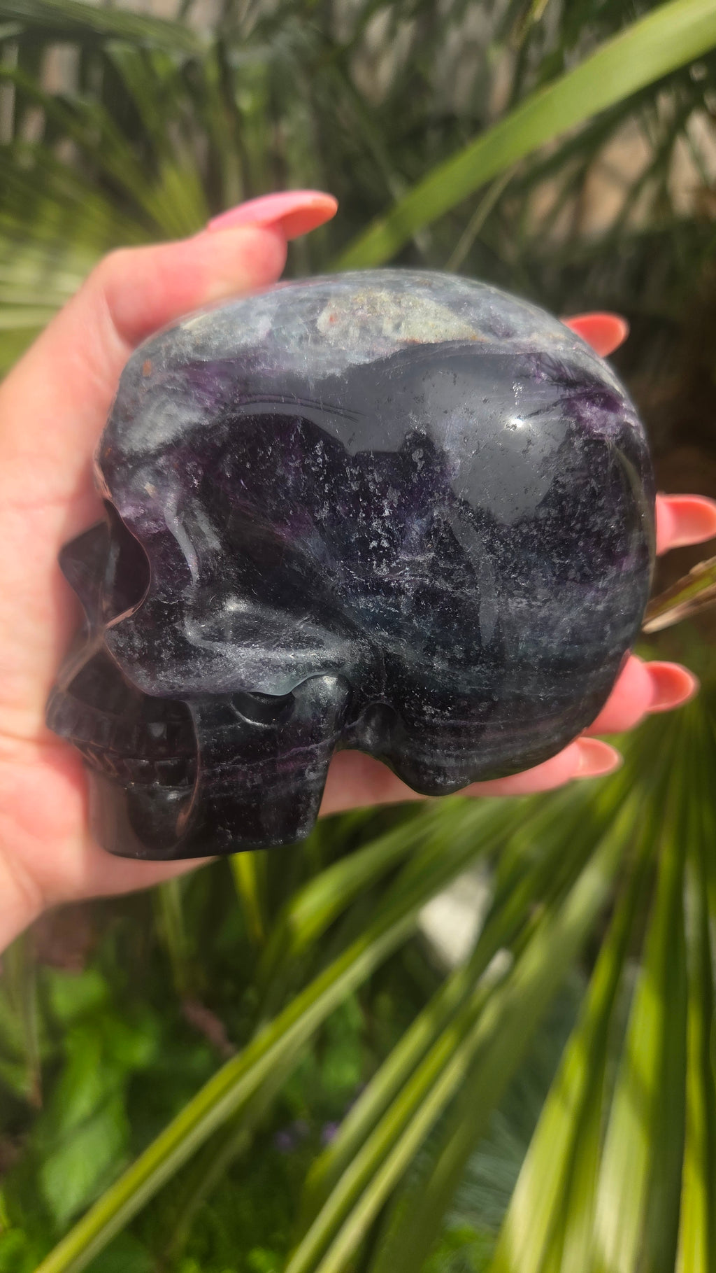 A+ kwaliteit fluoriet skull