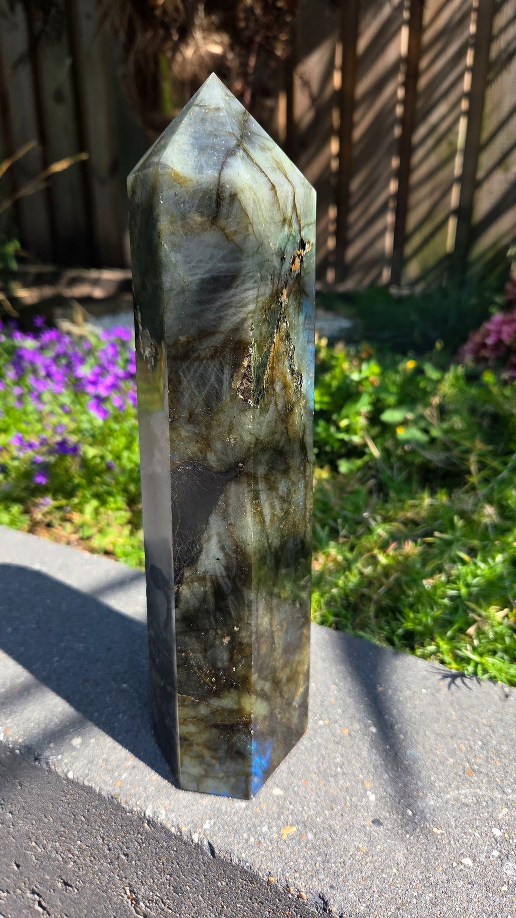 XL labradoriet toren