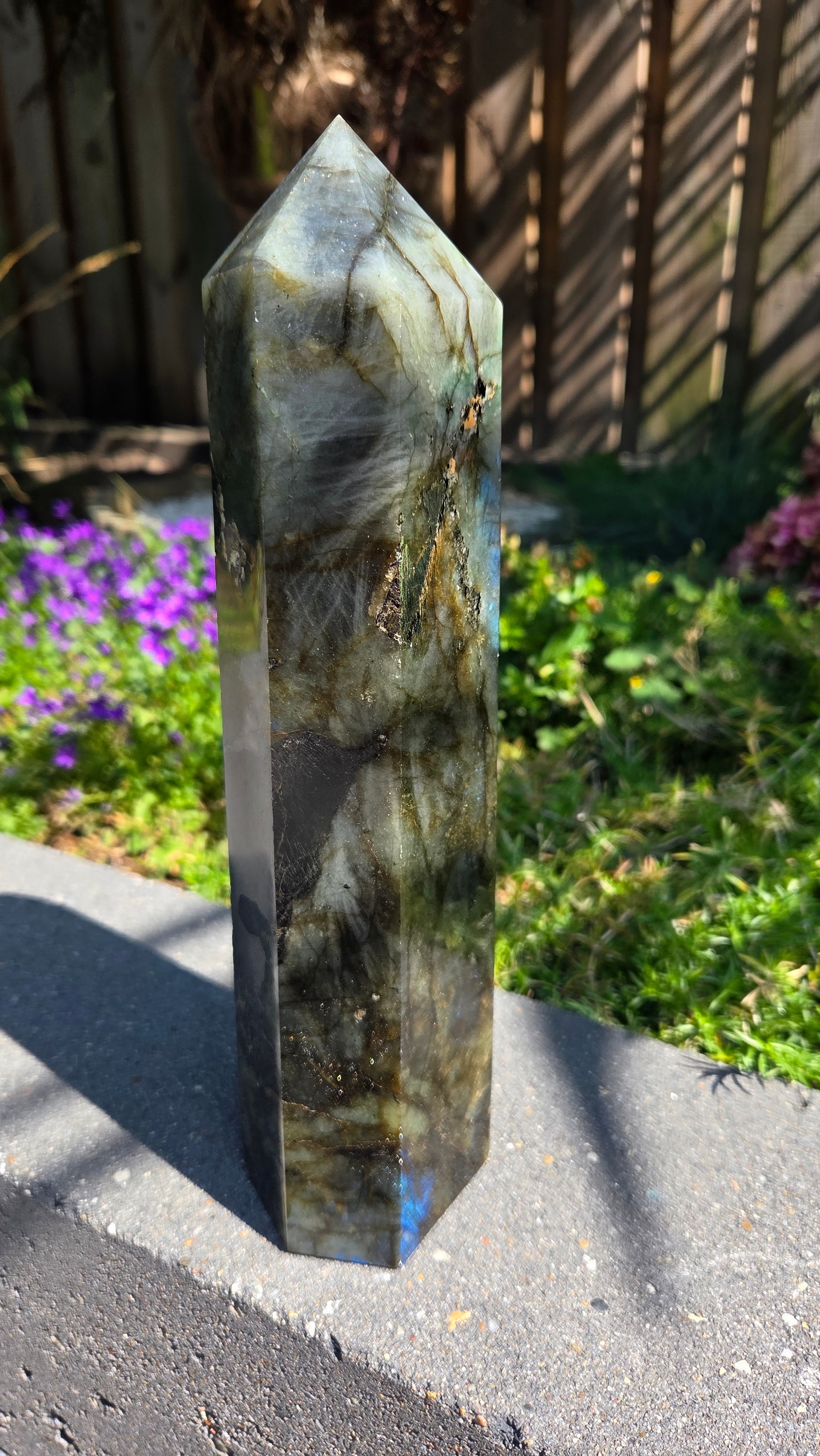 XL labradoriet toren
