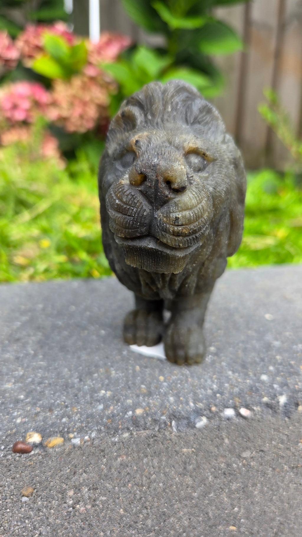 Zeldzame labradoriet carving leeuw