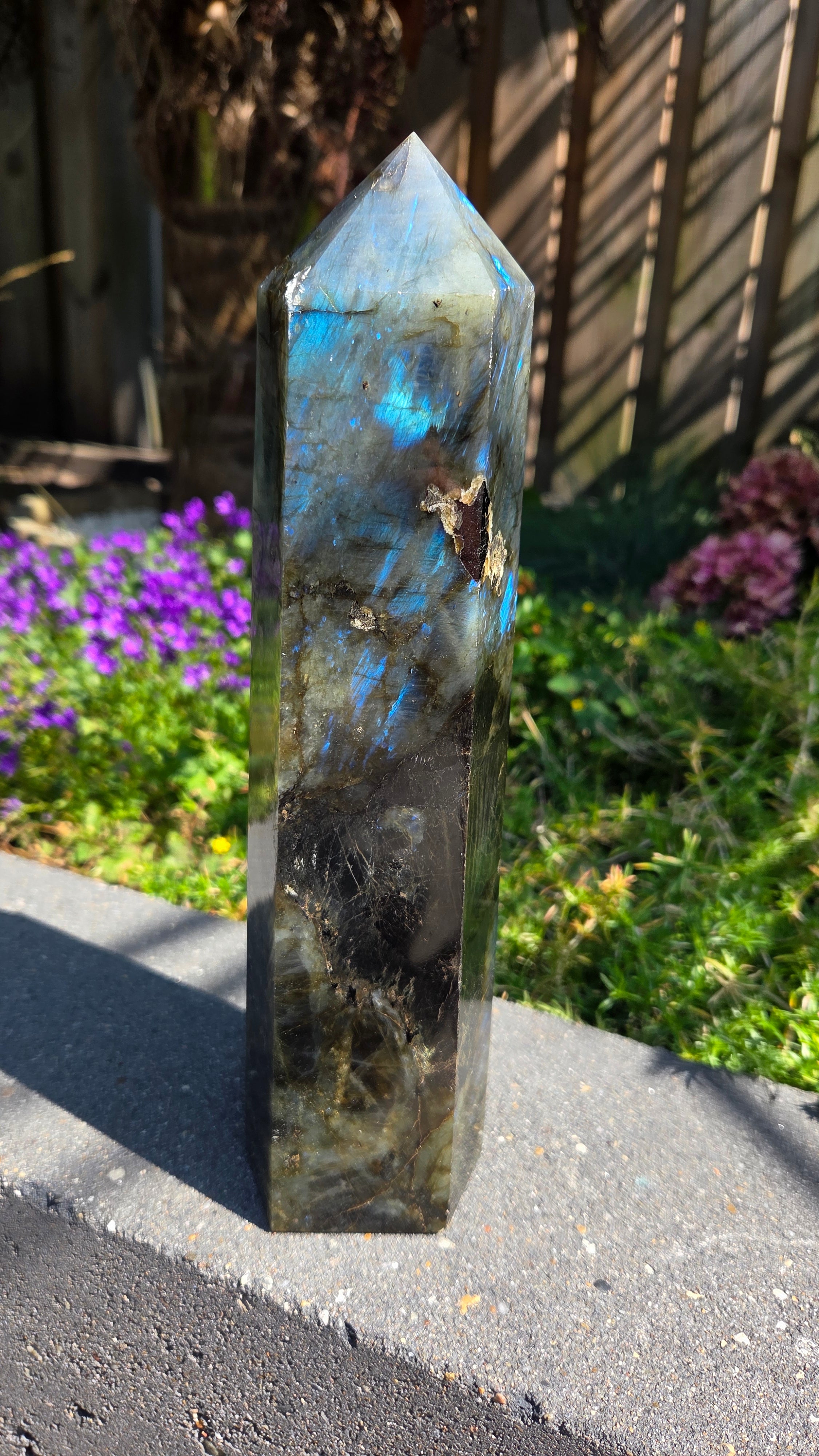 XL labradoriet toren