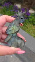 Unieke labradoriet carving