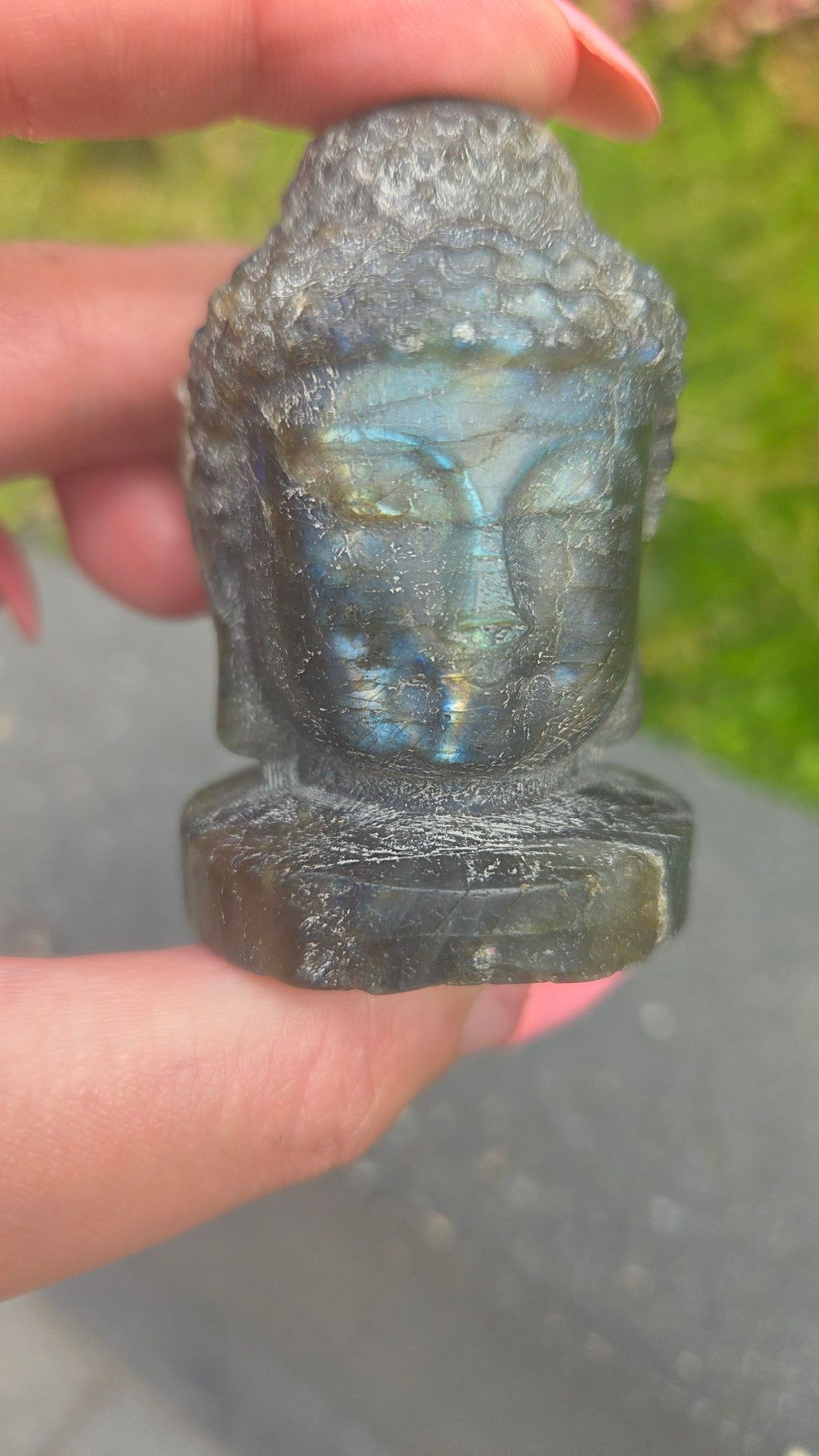 Labradoriet buddha