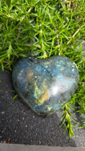 Labradoriet hart