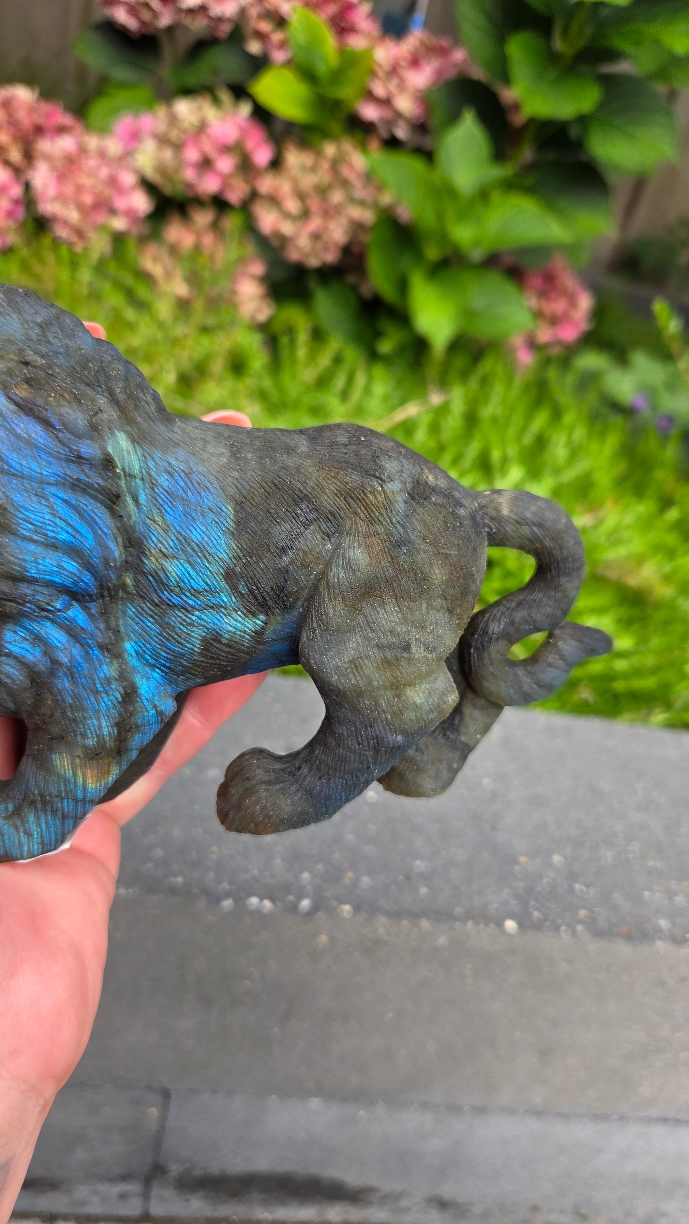 Zeldzame labradoriet carving leeuw