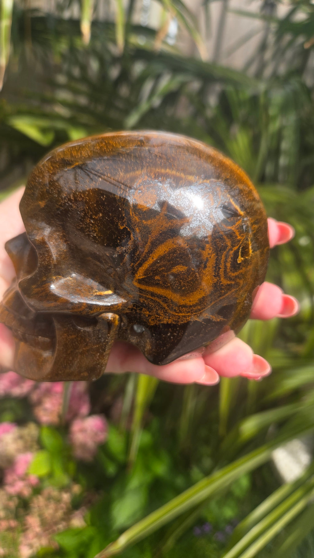 A++ kwaliteit tijgeroog skull