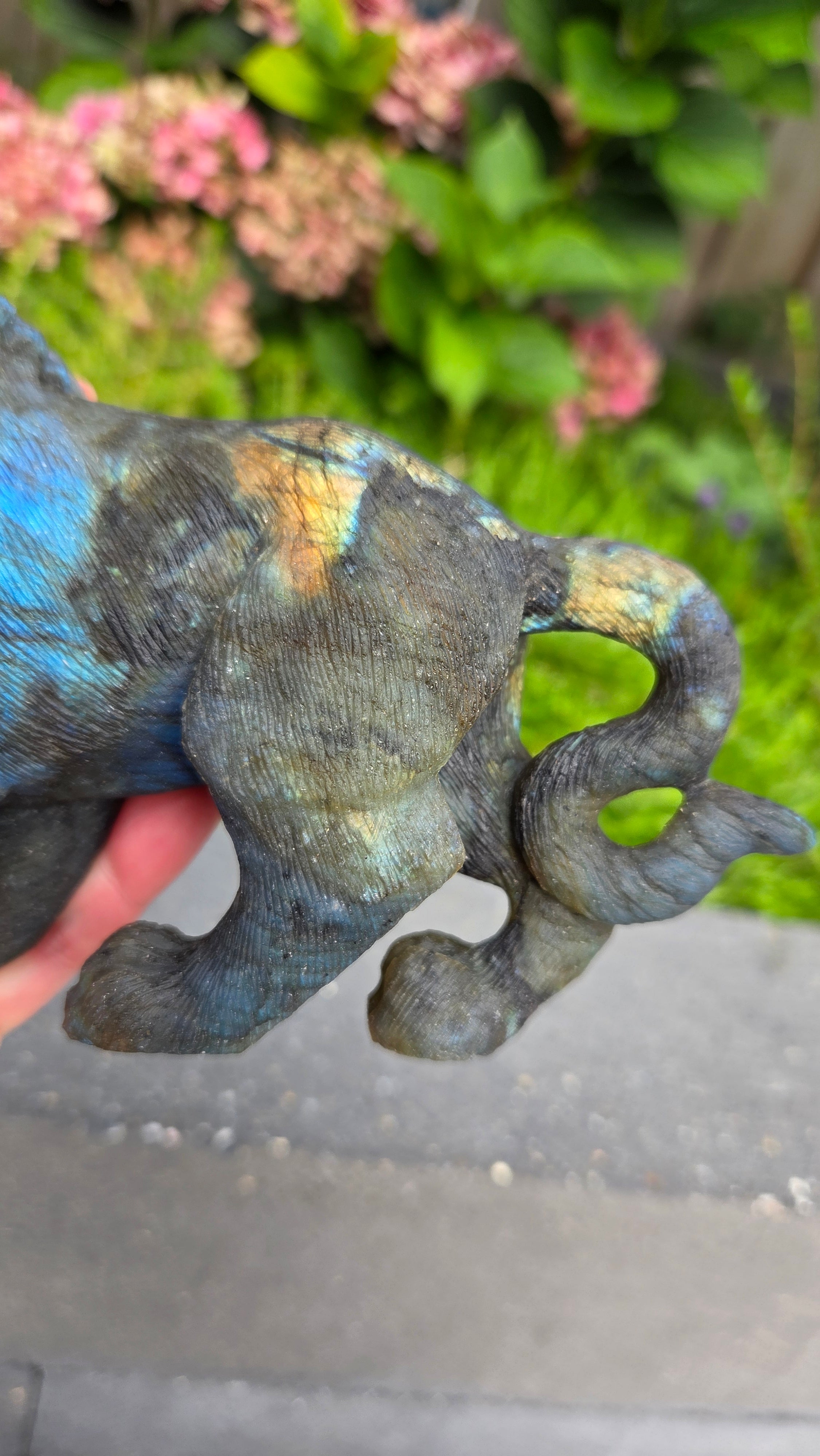 Zeldzame labradoriet carving leeuw