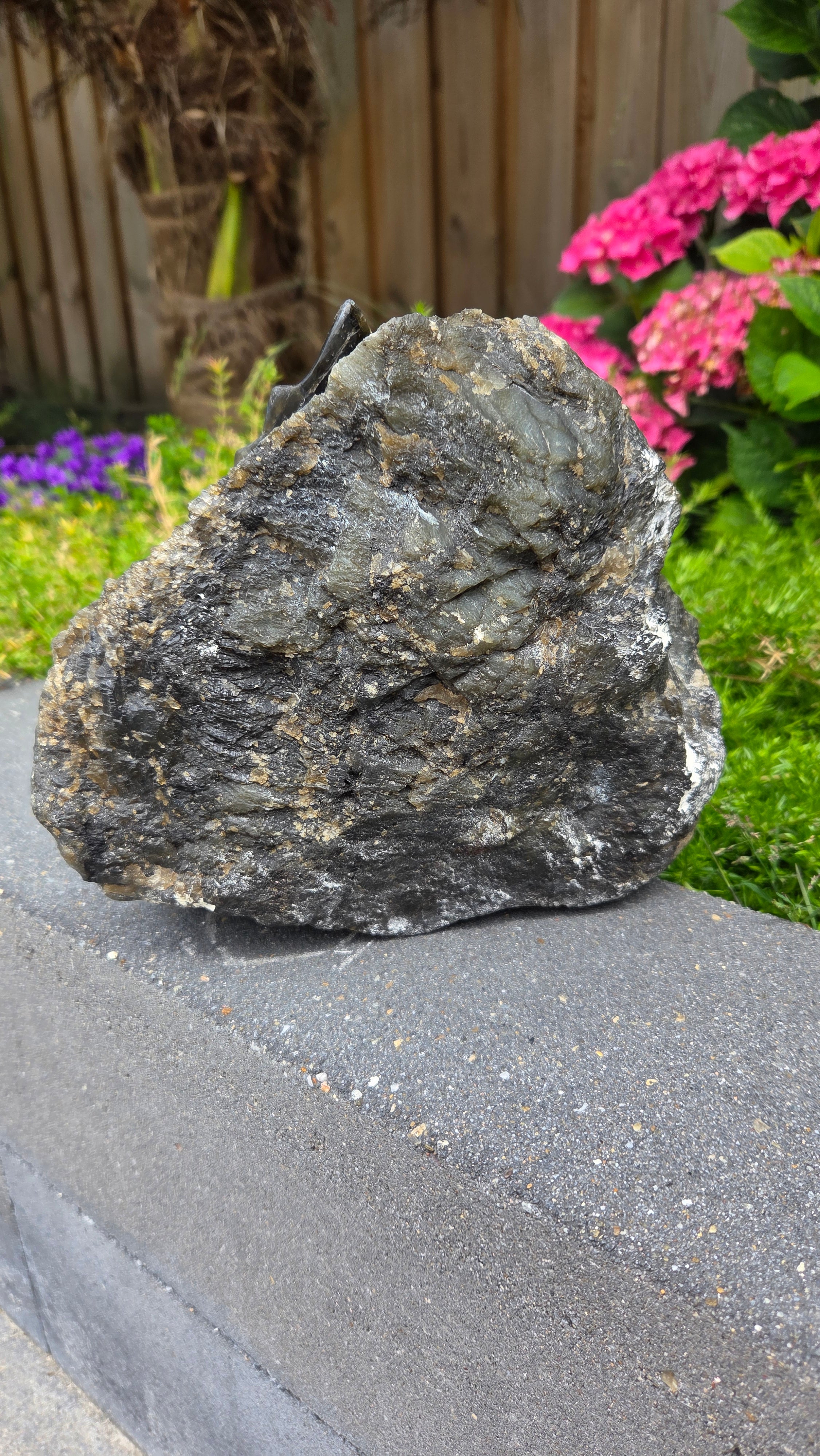 Zeldzame labradoriet carving 6 kg