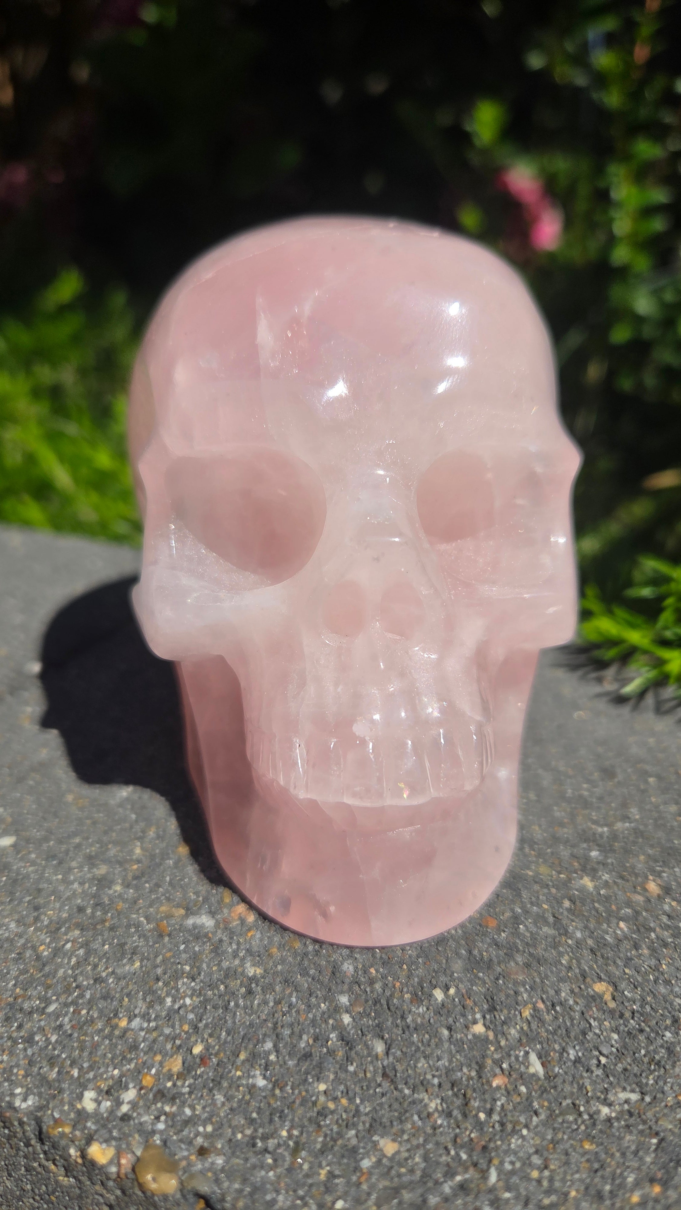A+ kwaliteit rozenkwarts skull