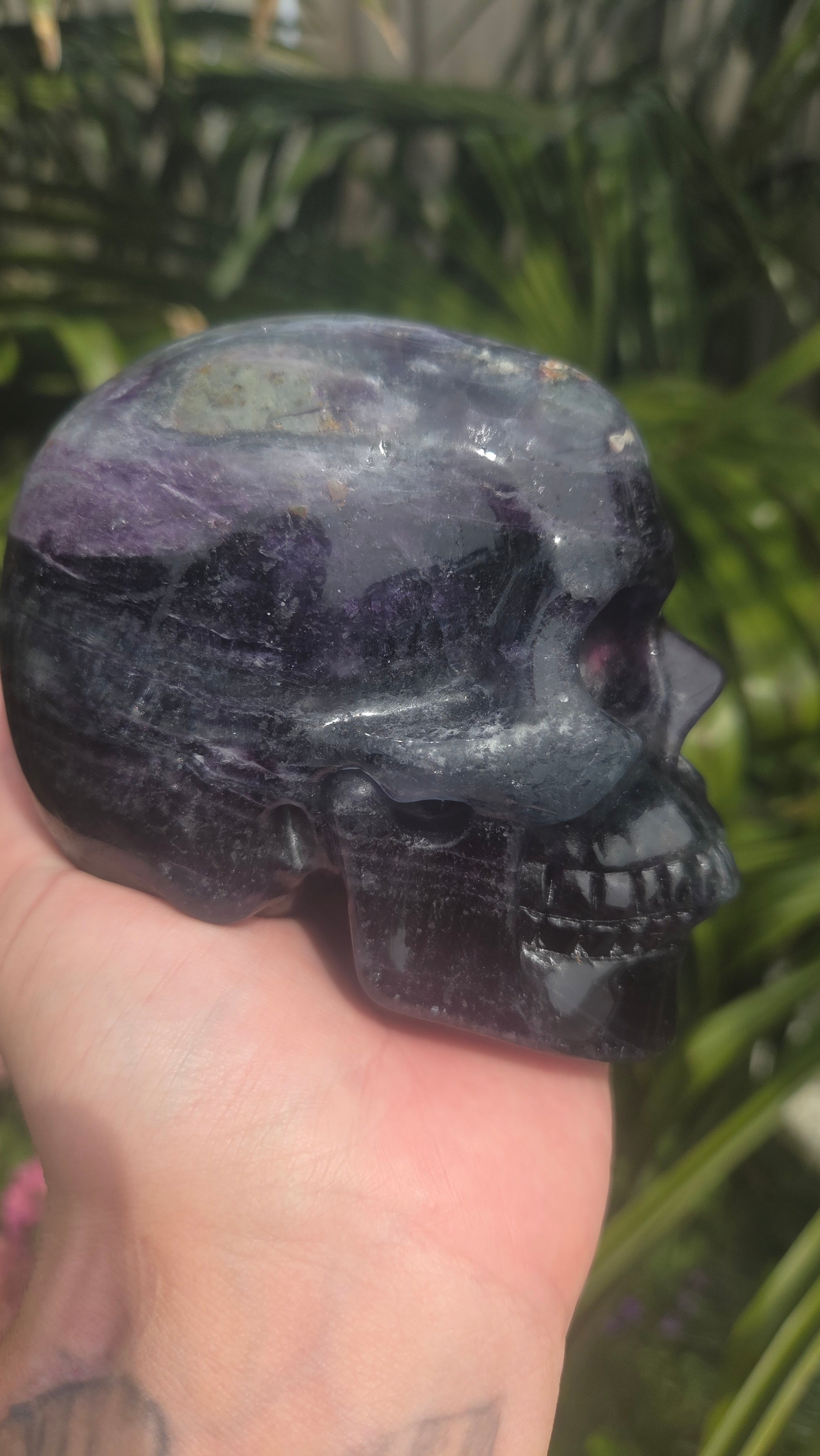 A+ kwaliteit fluoriet skull