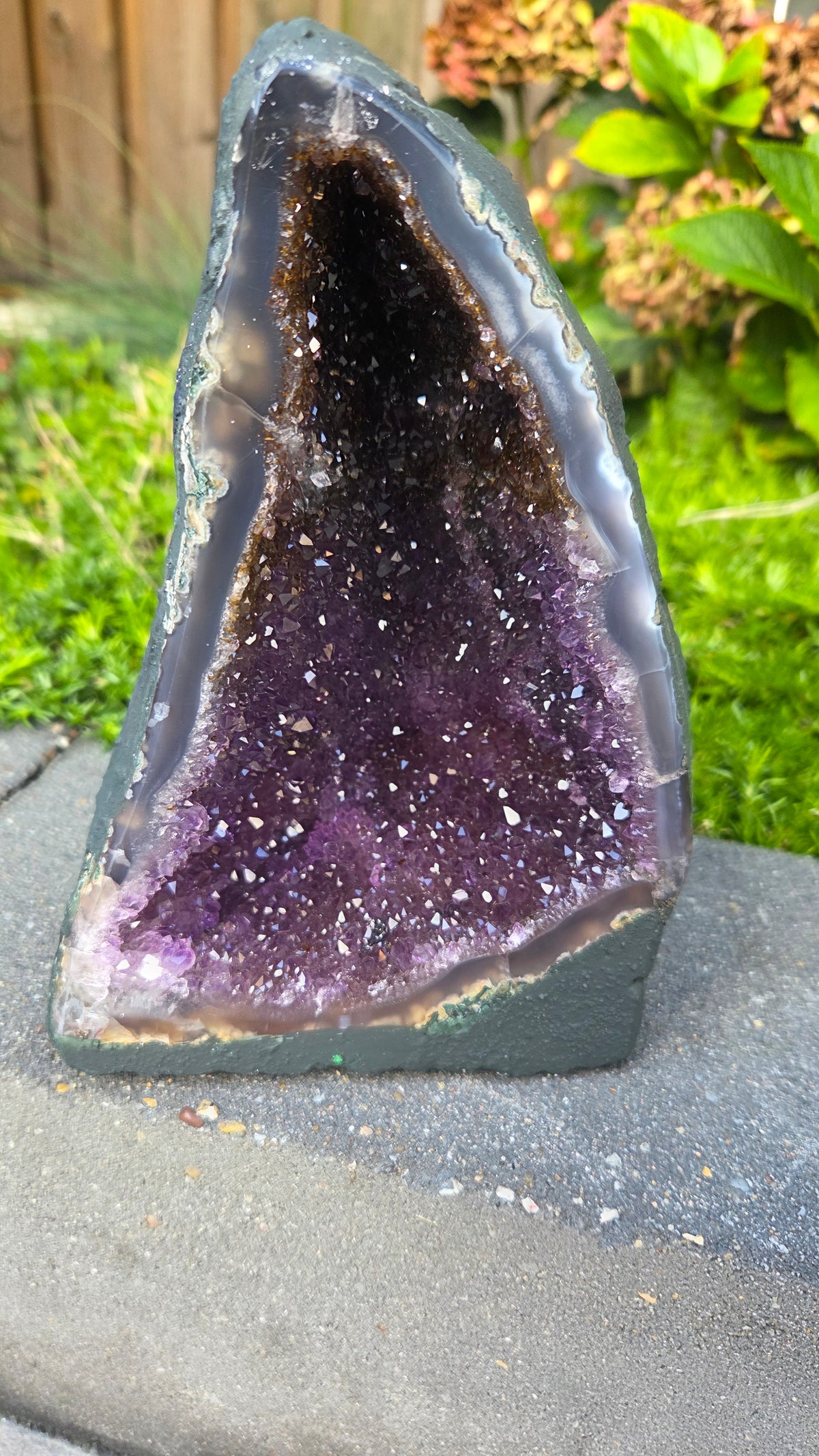 Galaxy amethist geode