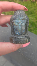 Labradoriet buddha
