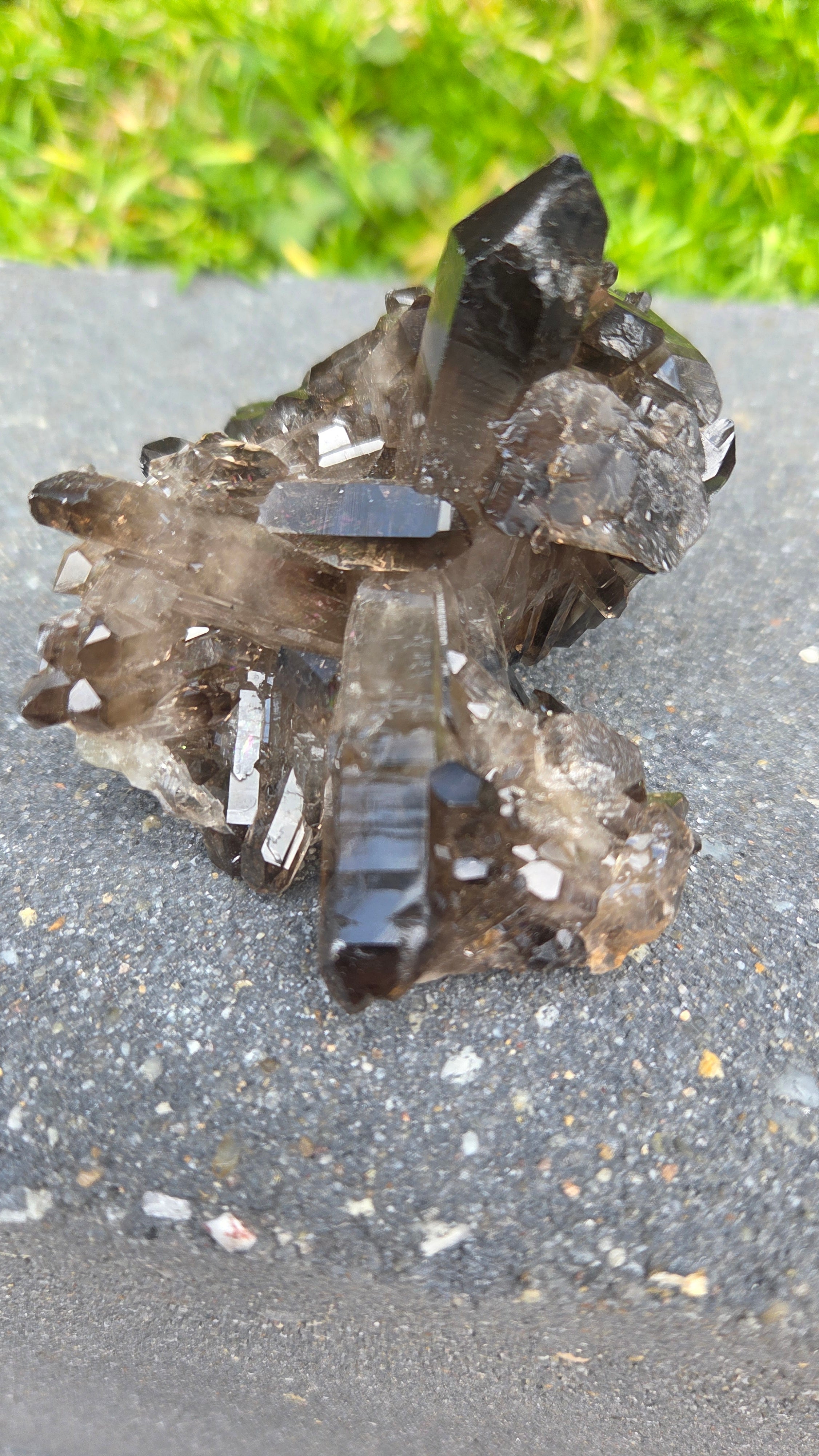 Unieke rookkwarts cluster