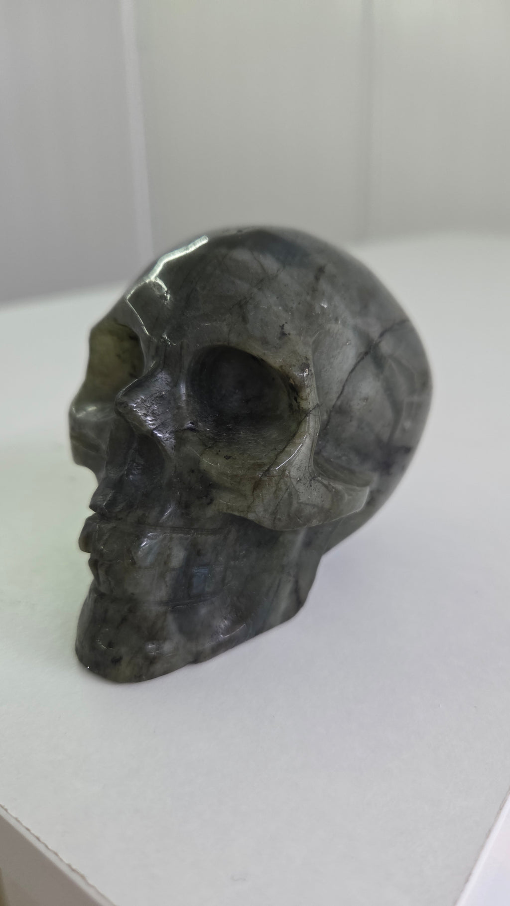 Labradoriet skull