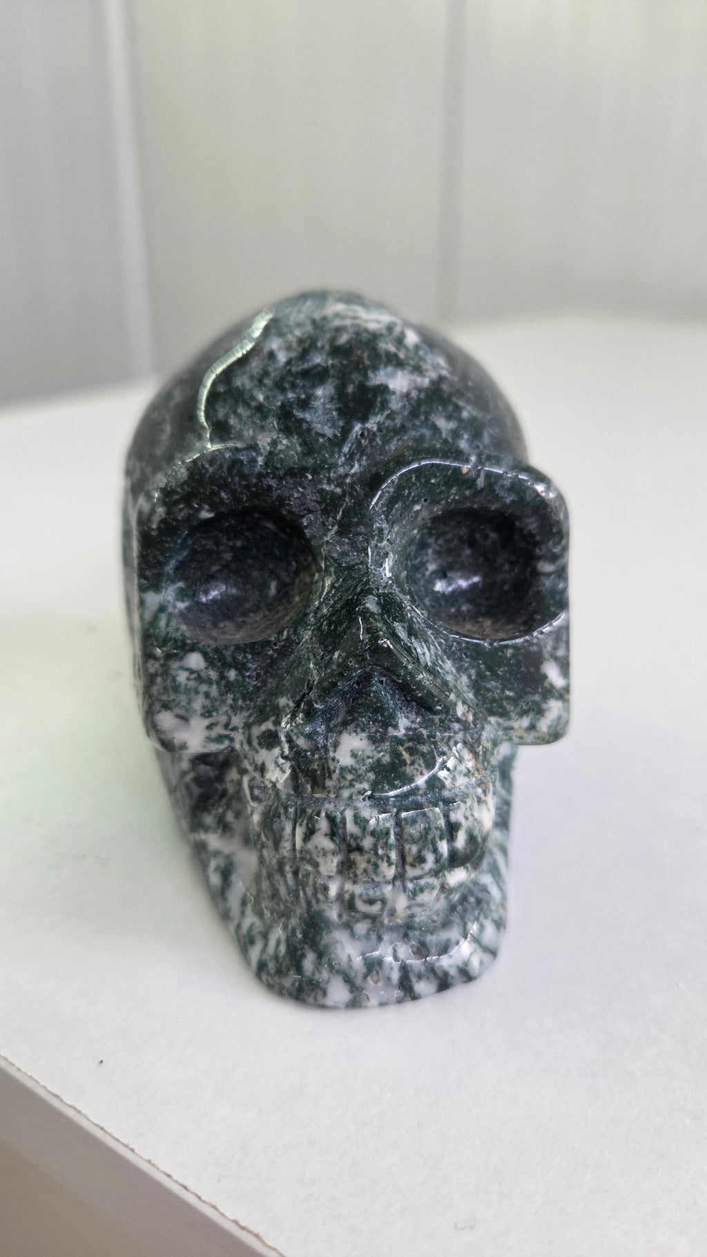 Mosagaat skull