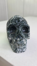 Mosagaat skull