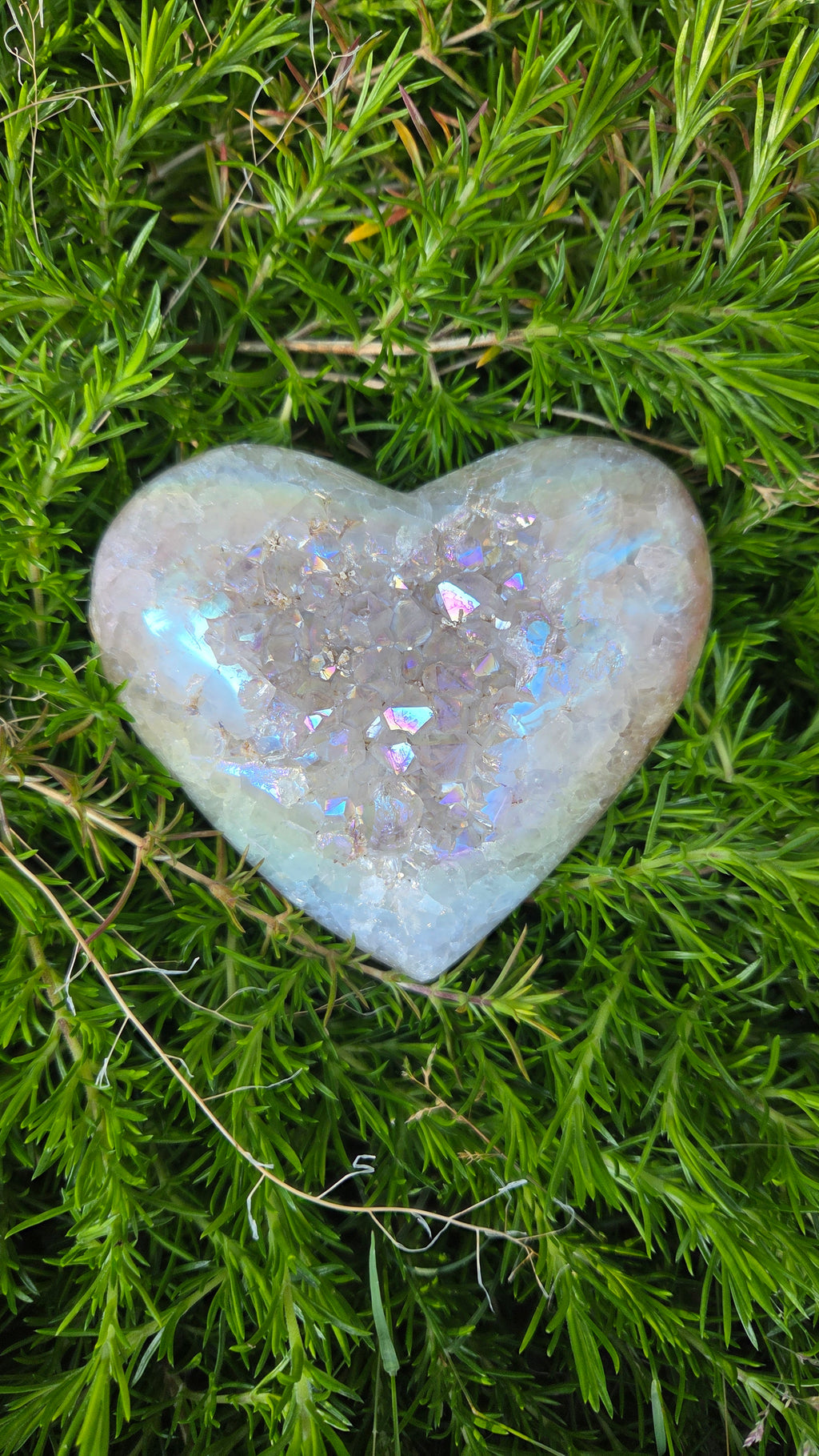 Angel aura hart