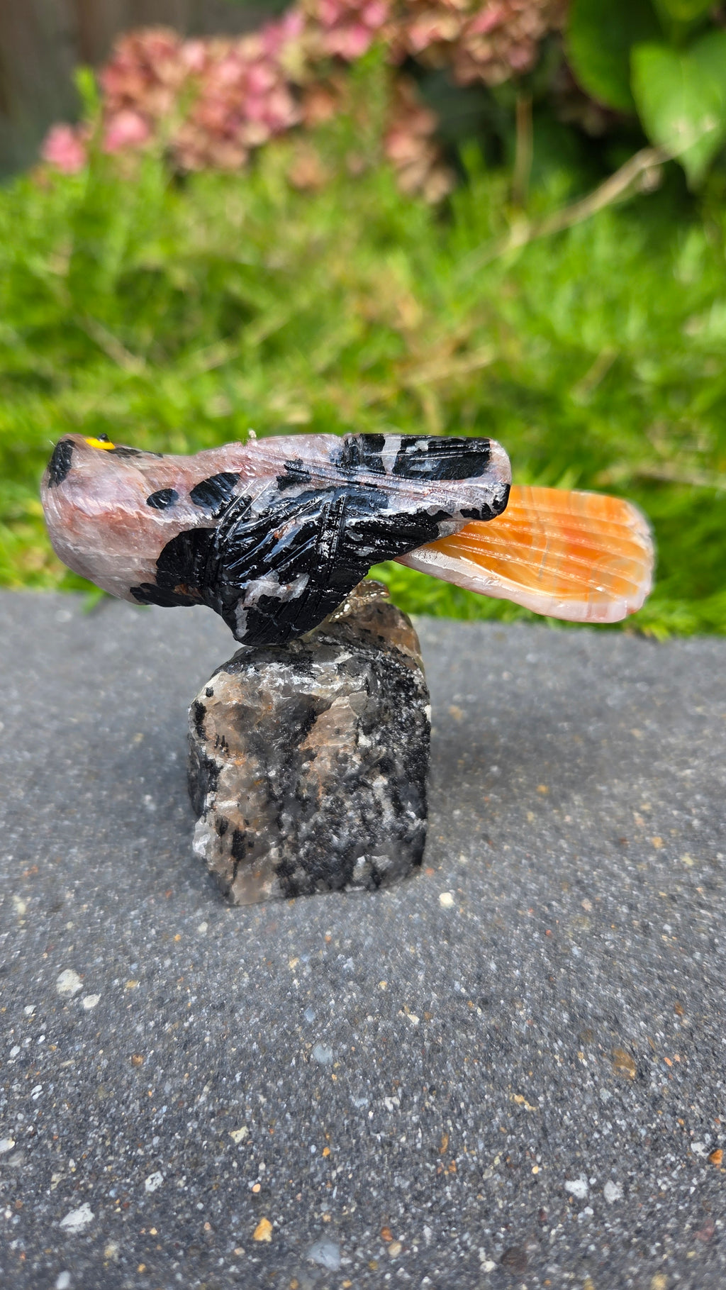 Toermalijn in kwarts vogeltje