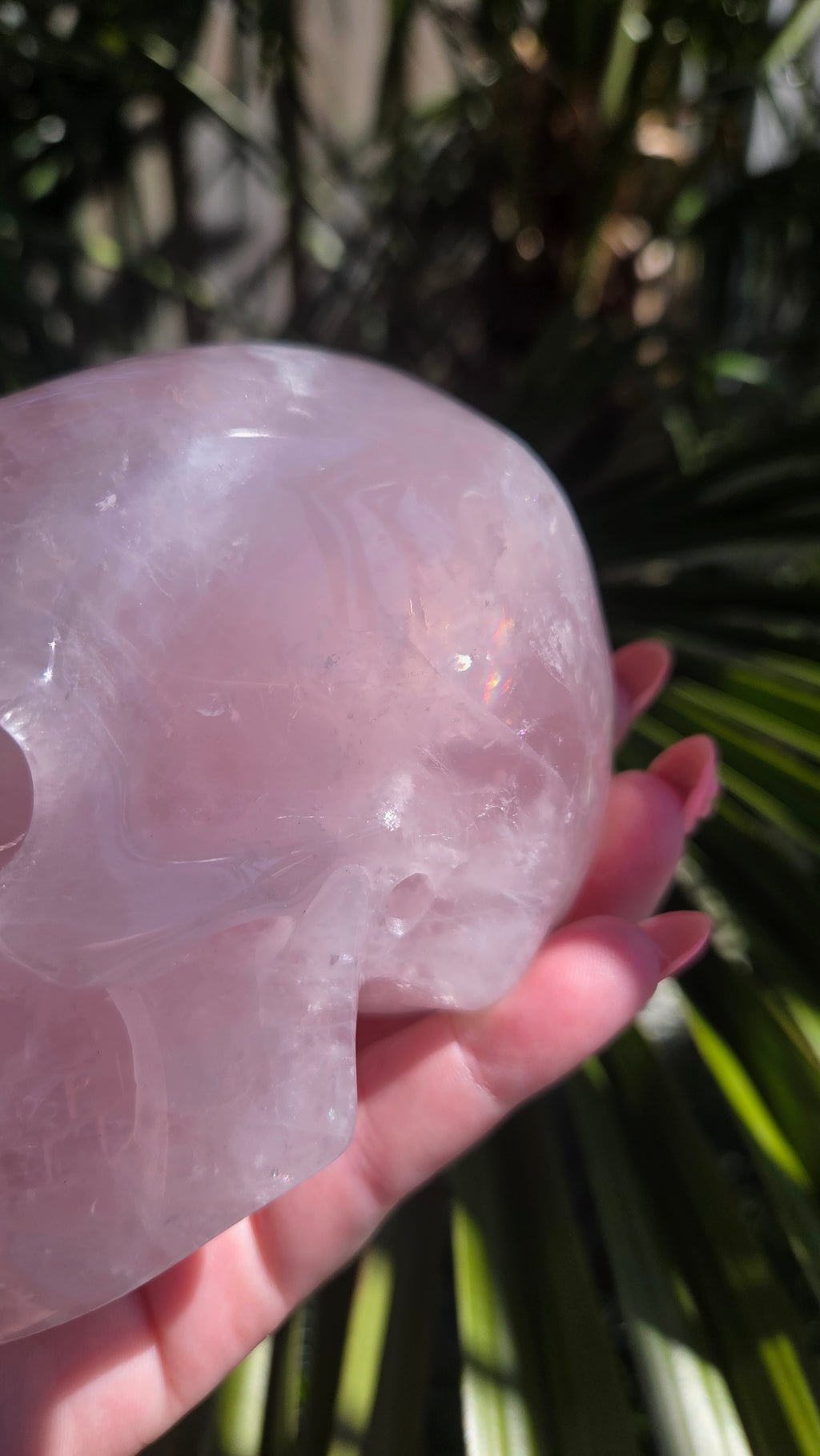 A+ kwaliteit rozenkwarts skull