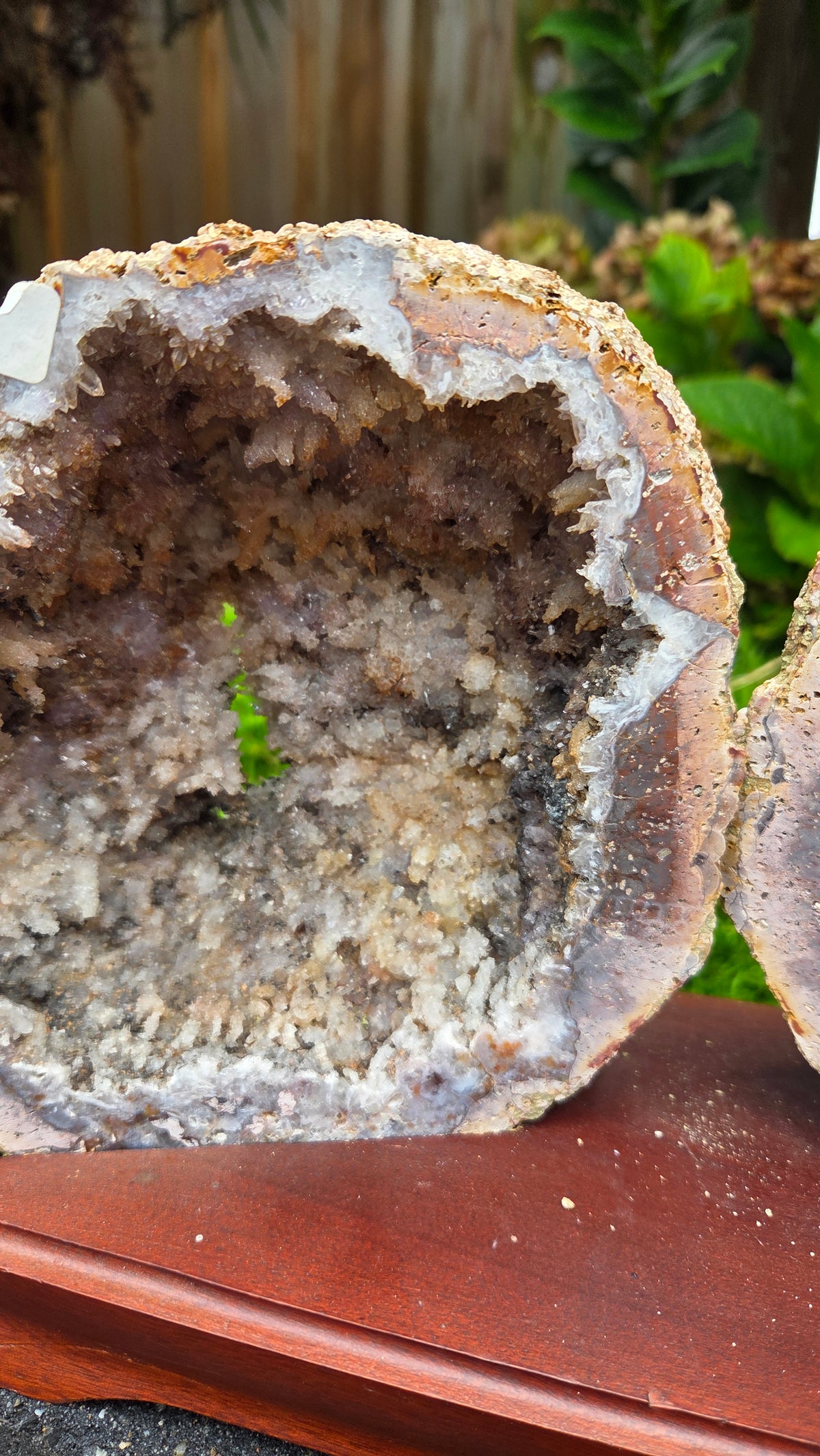 Zeldzame roze amethist (chalcedoon) geode