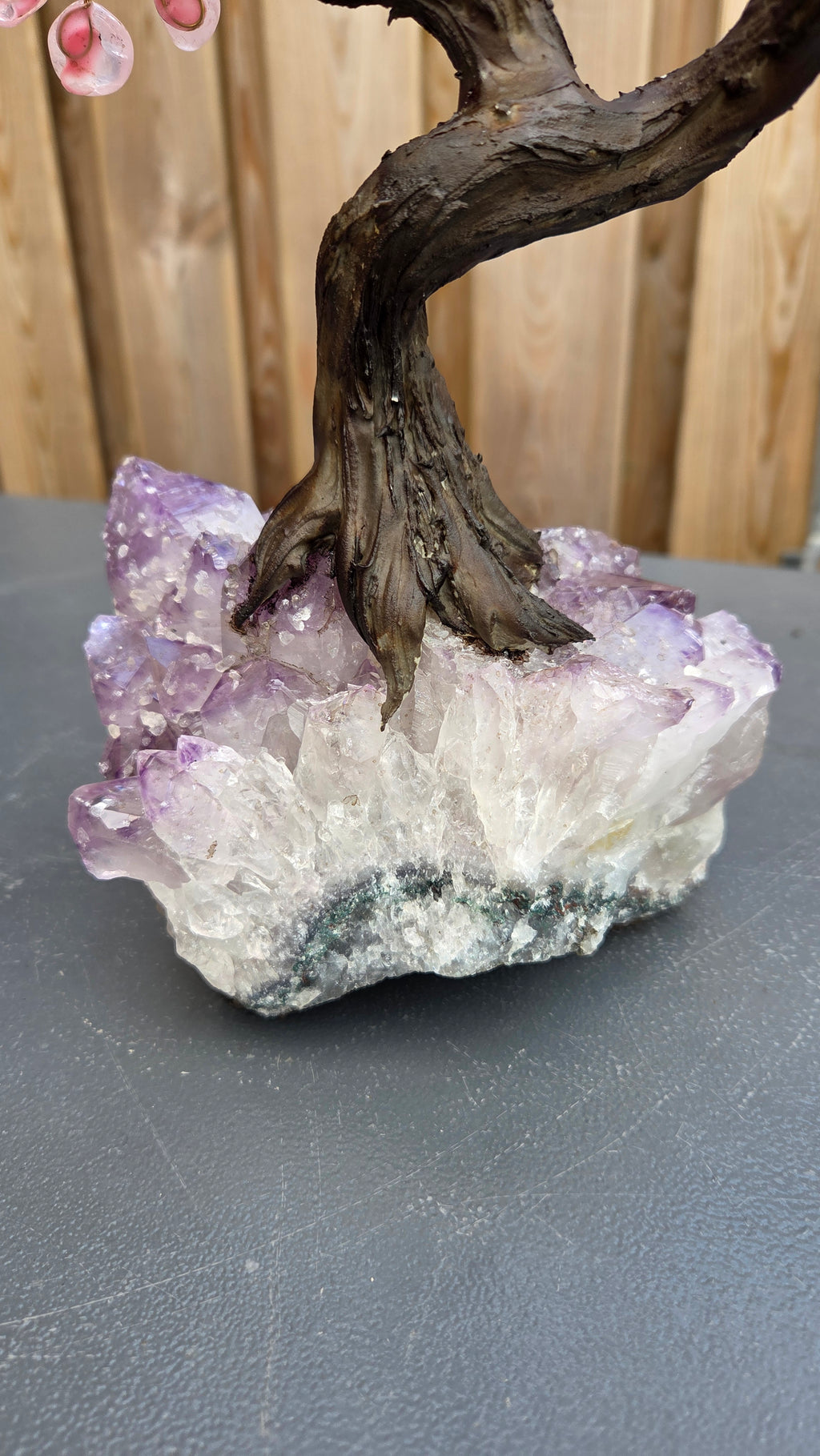 Rozenkwarts boom