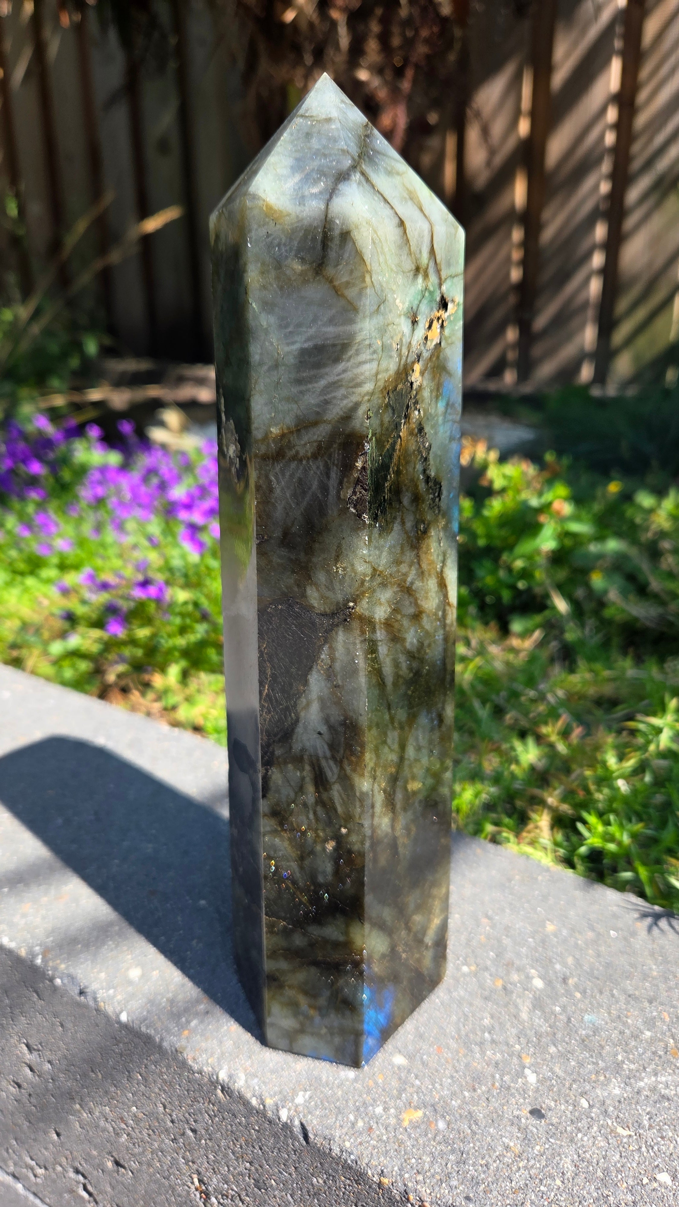 XL labradoriet toren