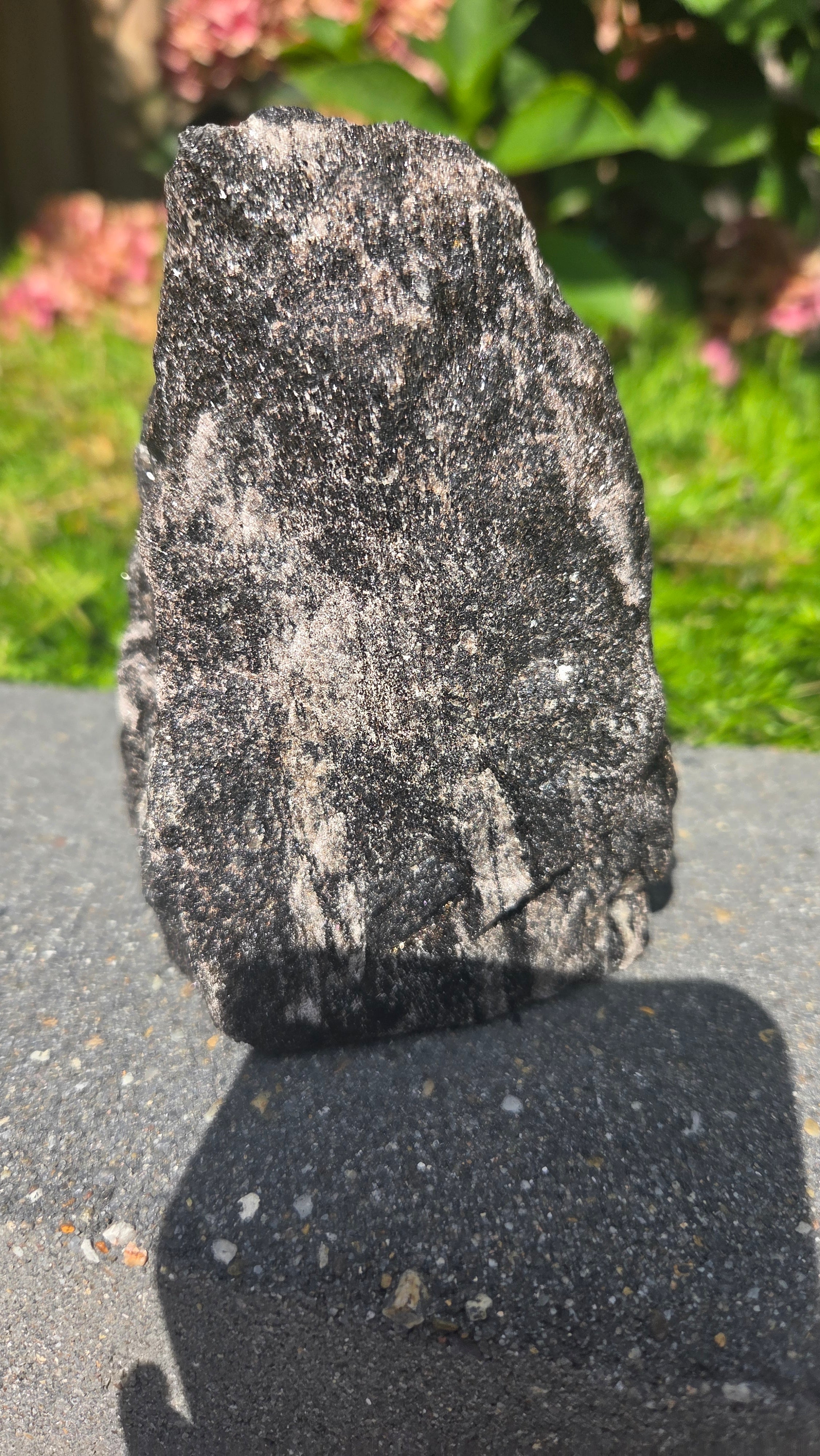 Zwarte mica