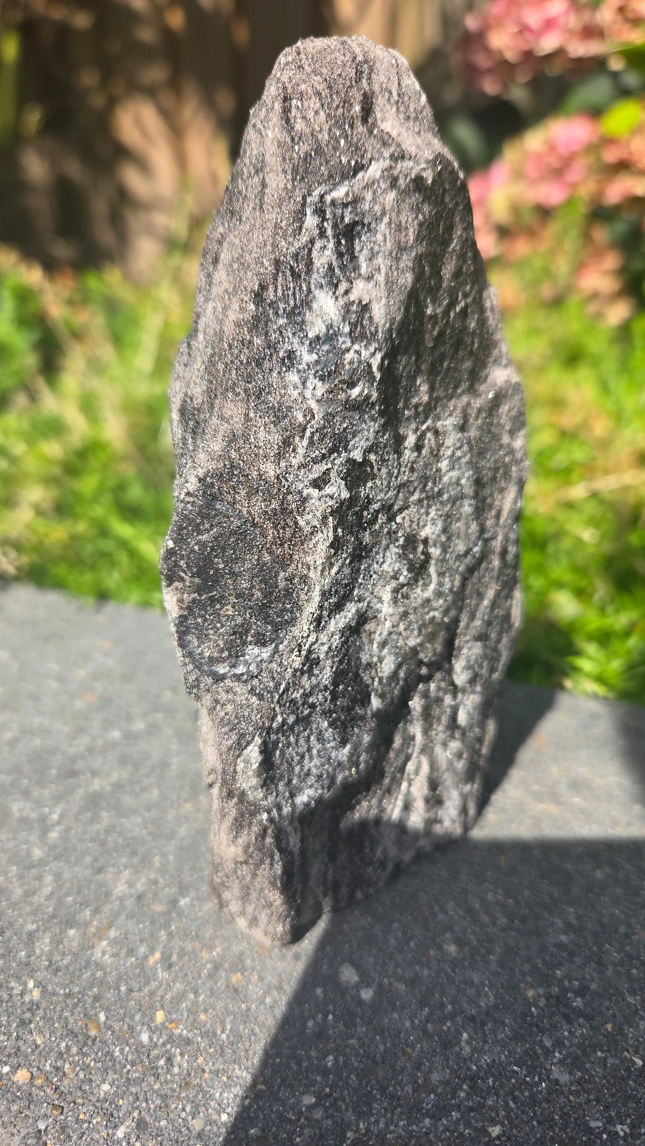 Zwarte mica