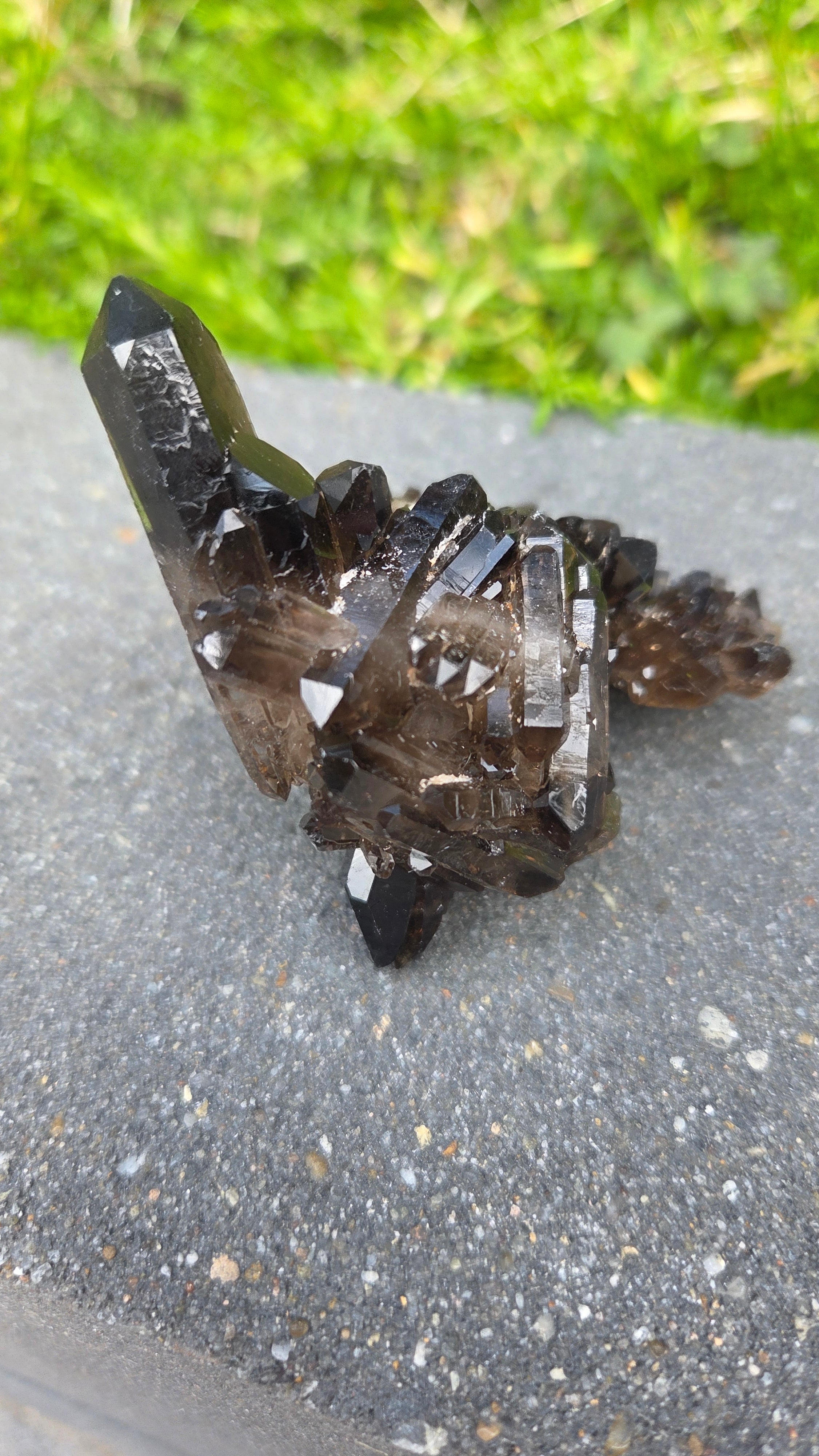 Unieke rookkwarts cluster