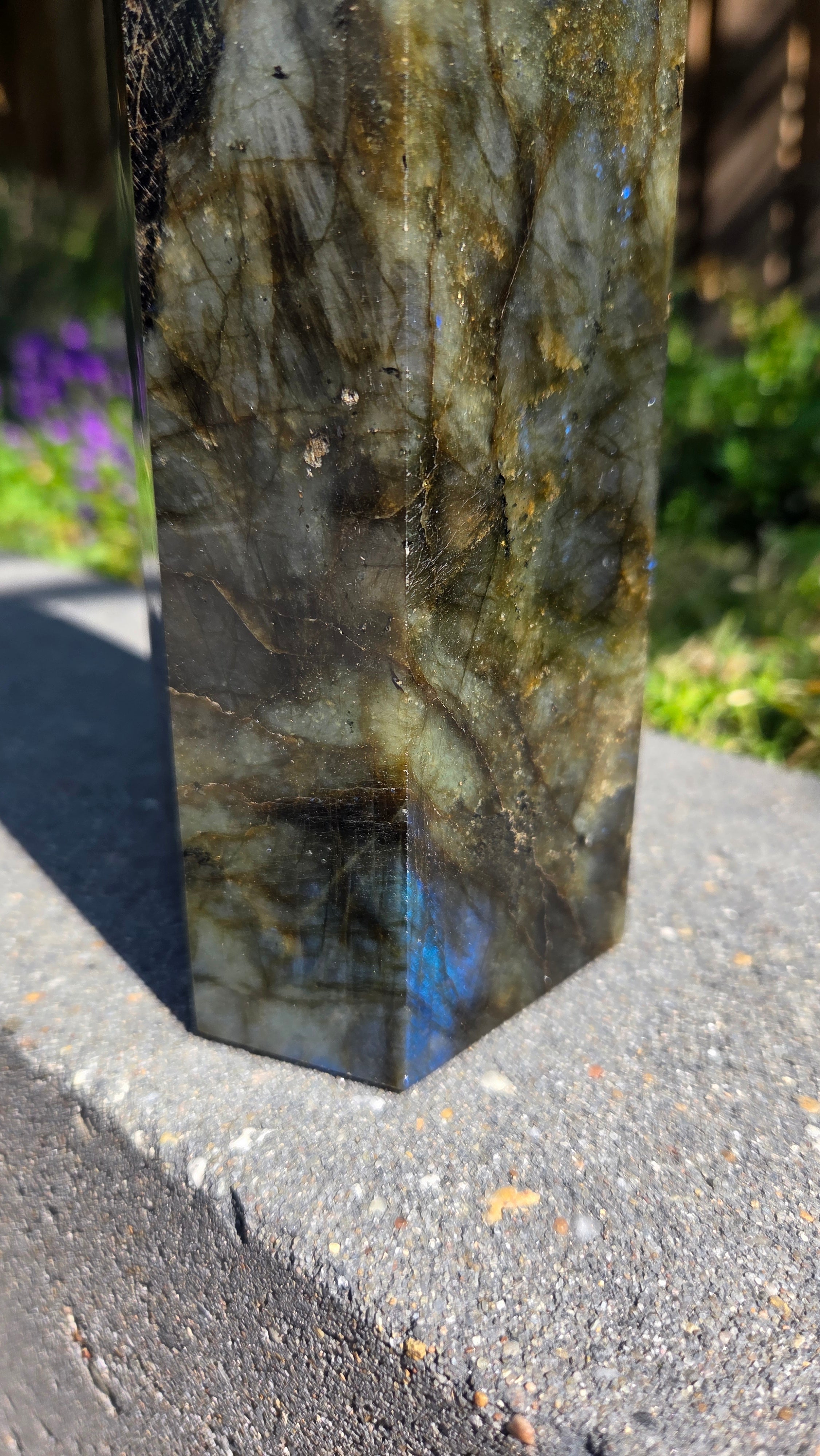 XL labradoriet toren