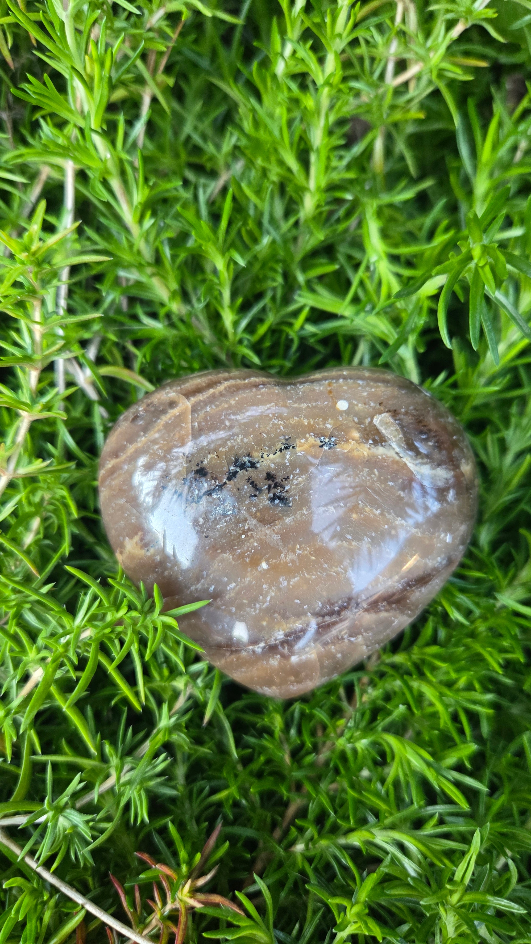 Chocolade calciet hart