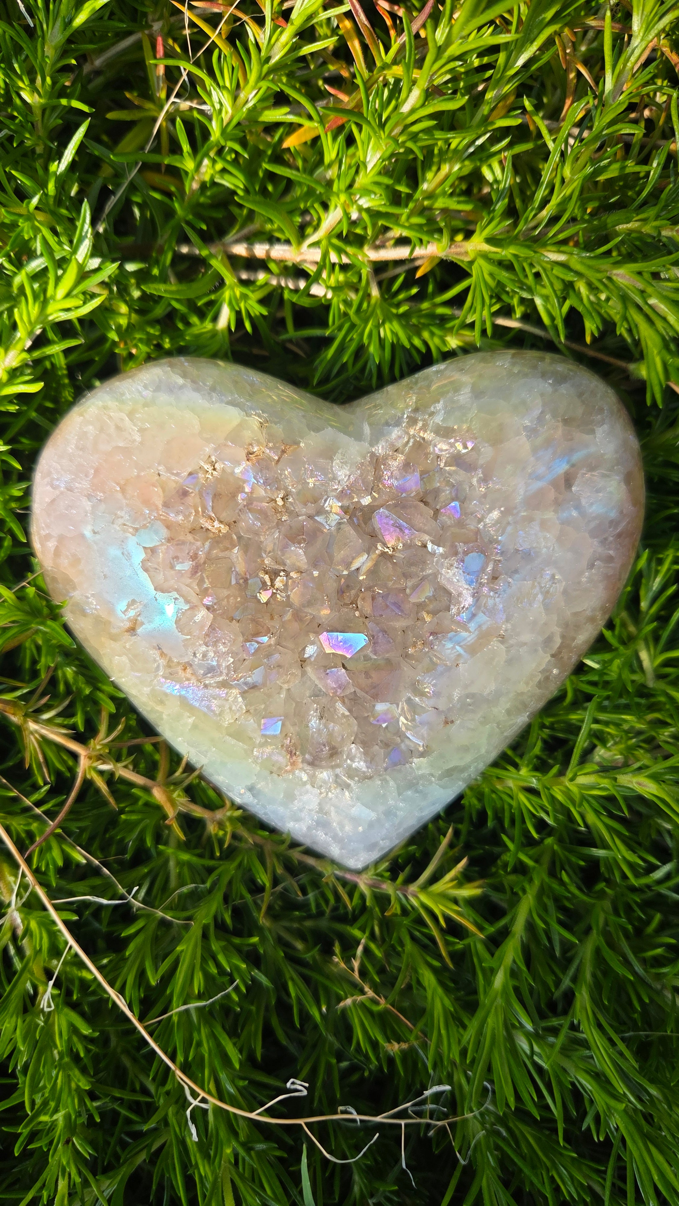 Angel aura hart