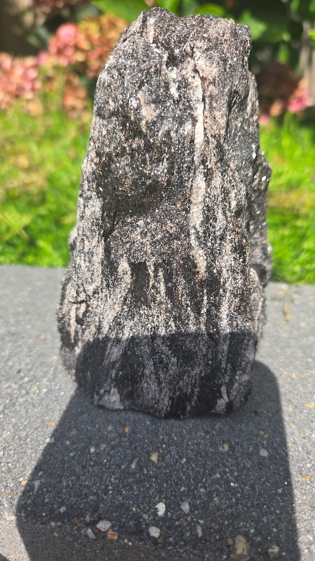 Zwarte mica