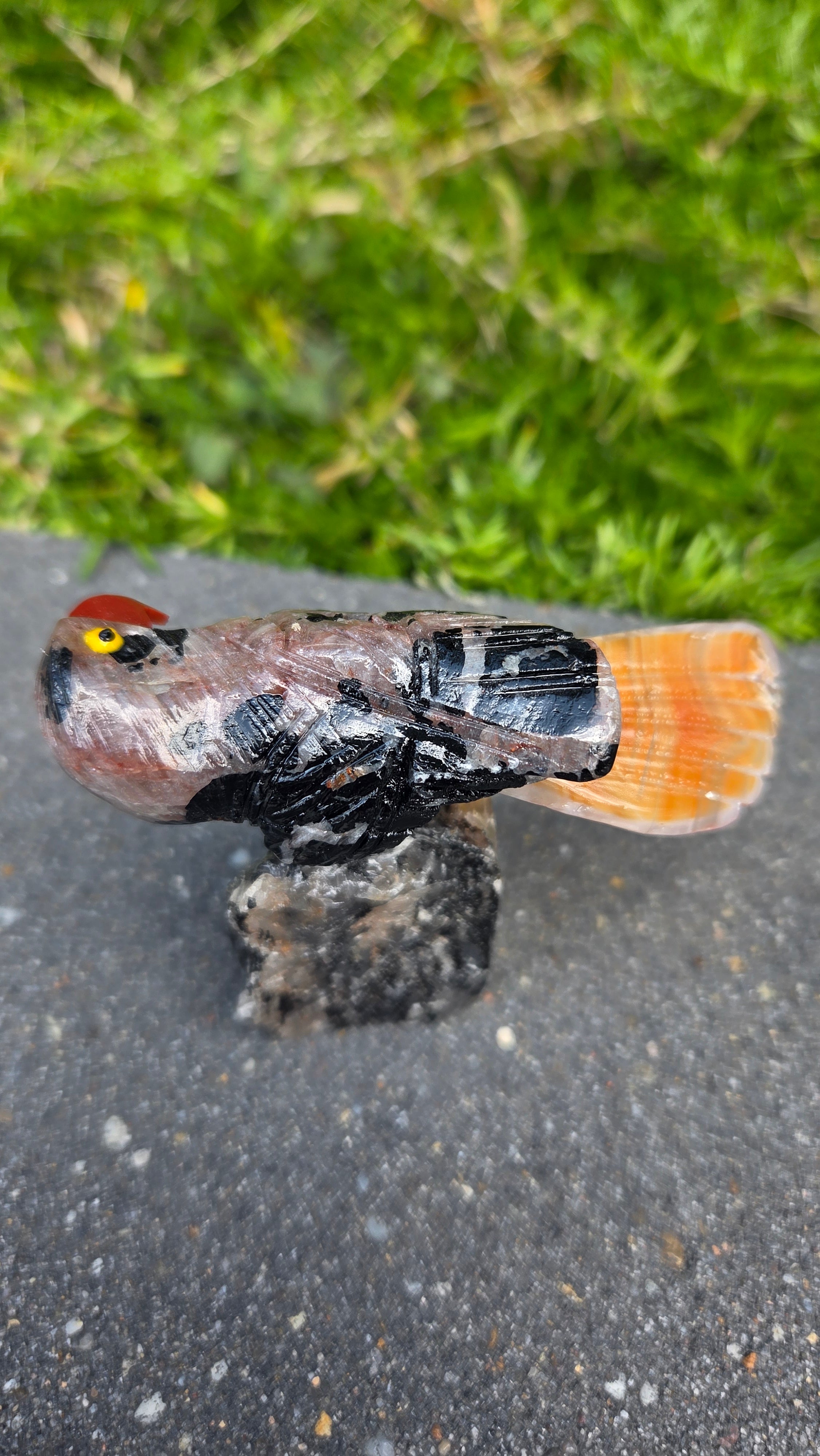 Toermalijn in kwarts vogeltje