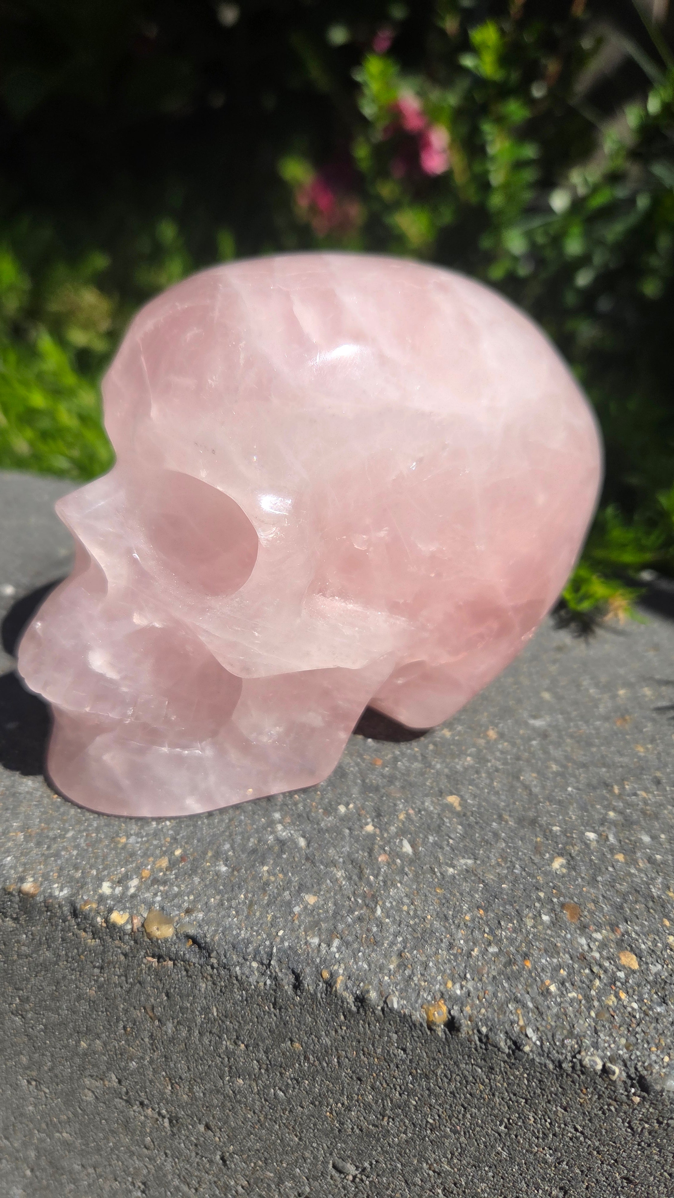 A+ kwaliteit rozenkwarts skull