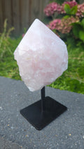 Rozenkwarts op standaard
