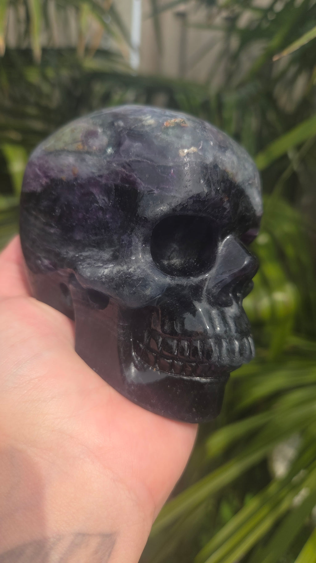 A+ kwaliteit fluoriet skull