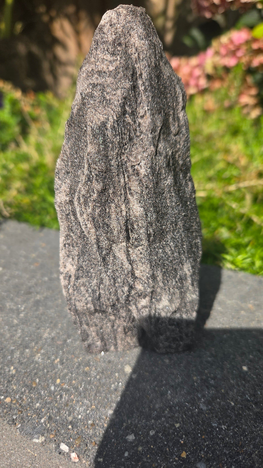 Zwarte mica