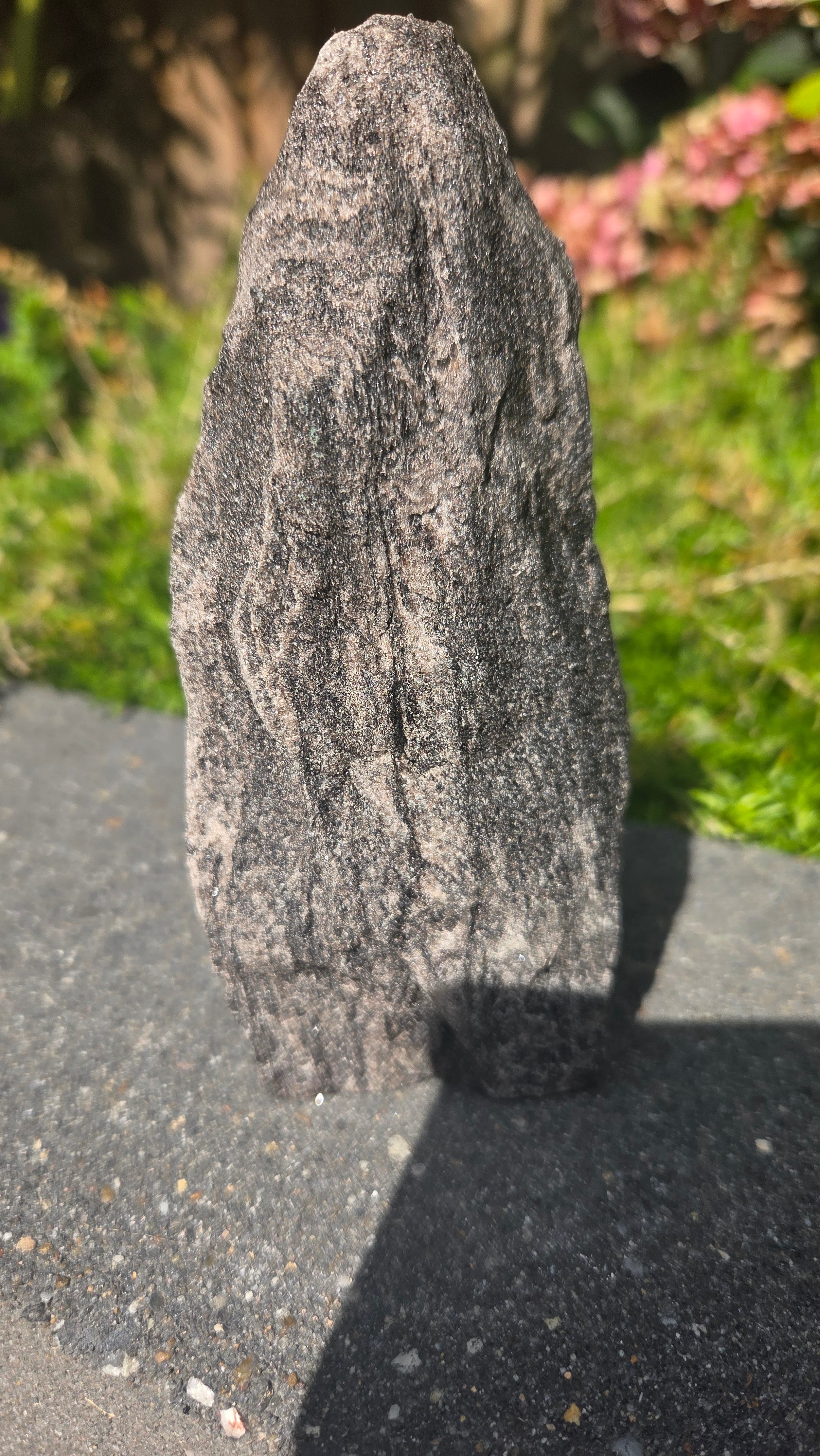 Zwarte mica