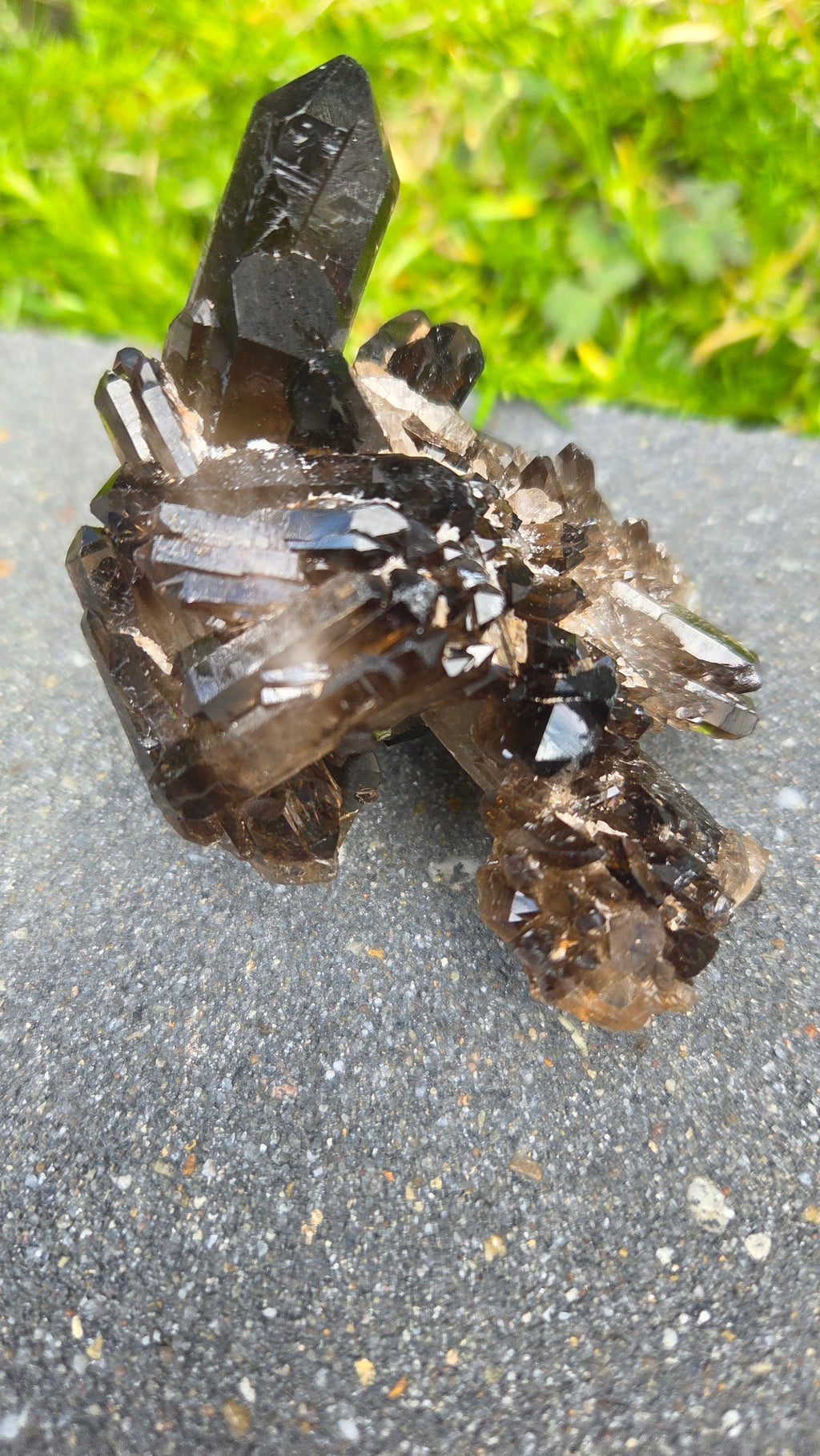 Unieke rookkwarts cluster