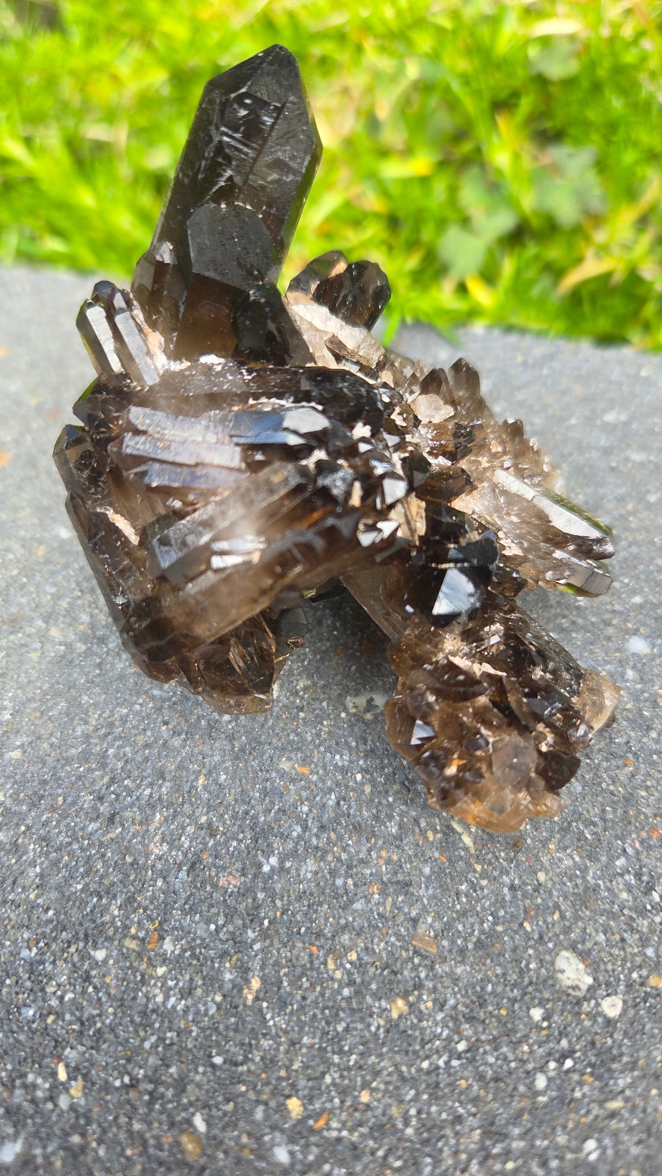 Unieke rookkwarts cluster