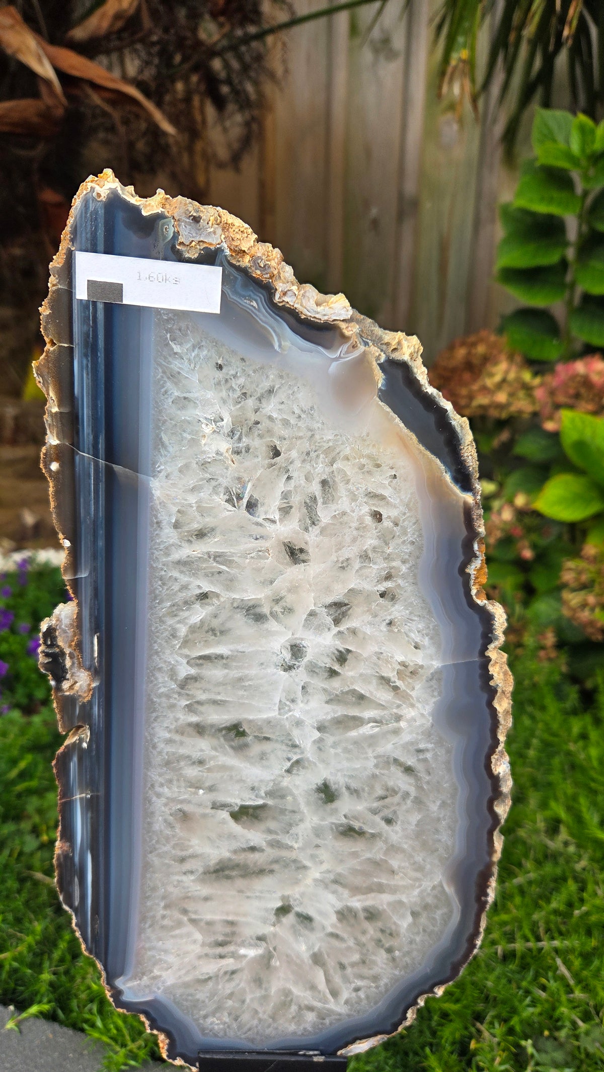 XL agaat slab